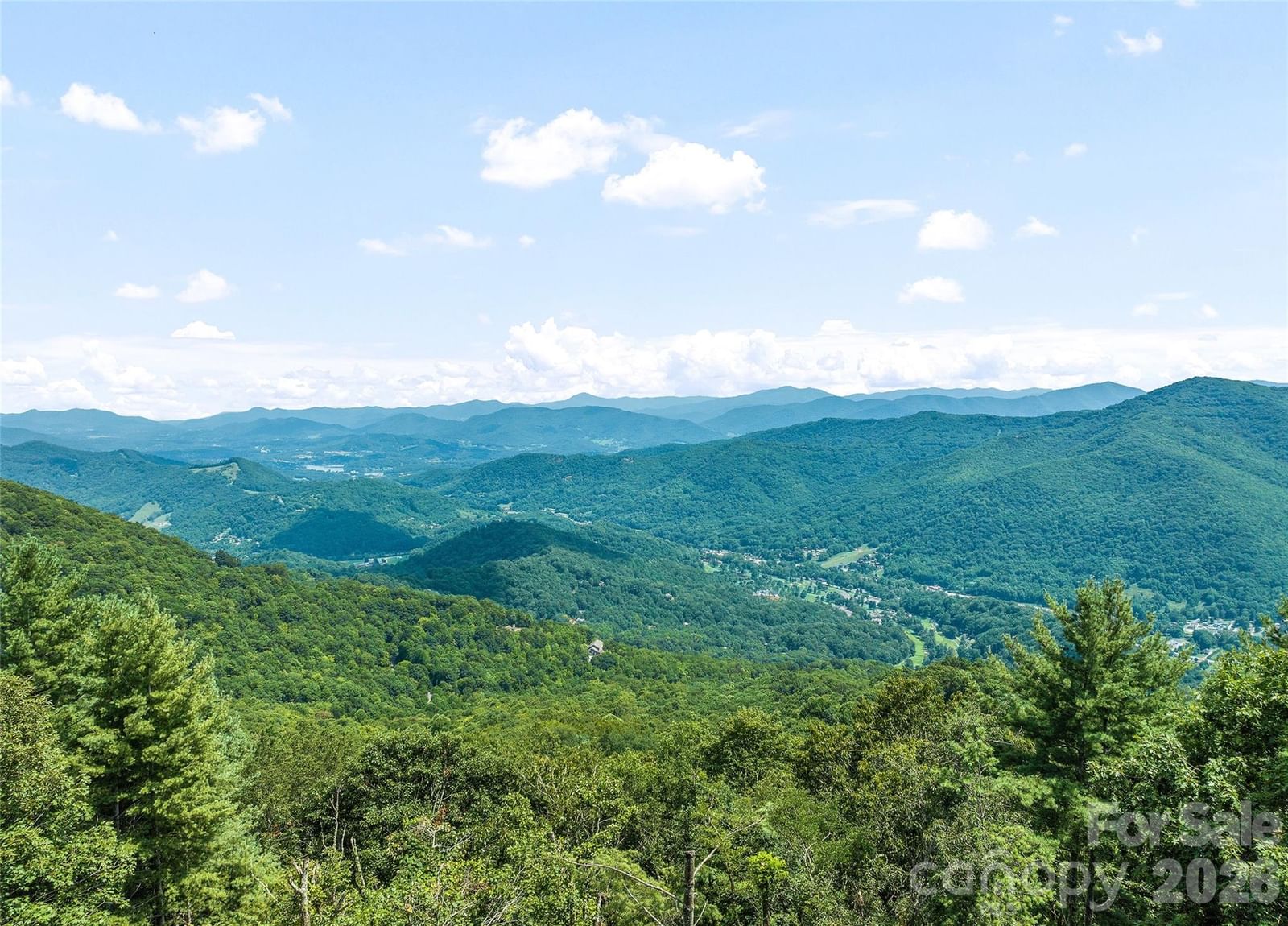 350 Quail Ridge Drive, Maggie Valley, NC 28751 - Photo 3