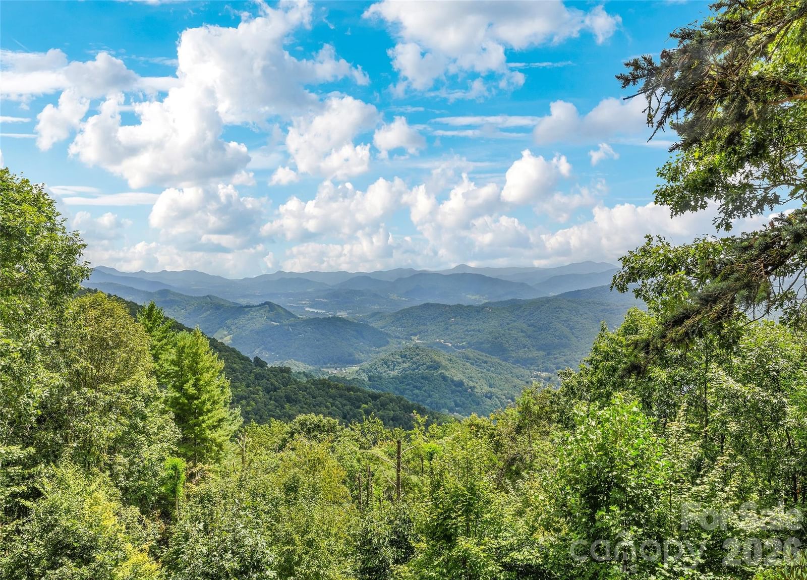 350 Quail Ridge Drive, Maggie Valley, NC 28751 - Photo 2
