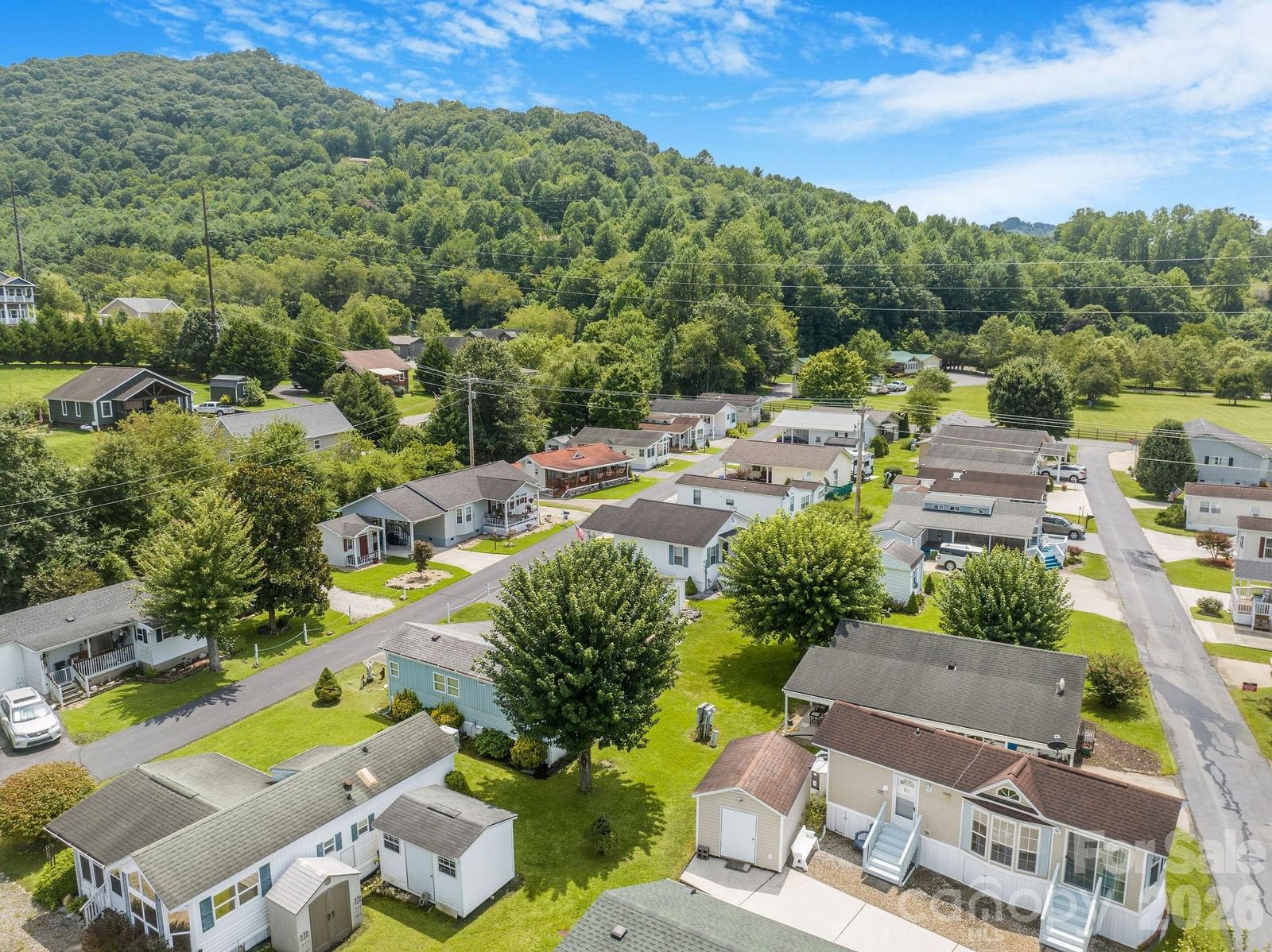 53 Strollers Lane, Waynesville, NC 28785 - Photo 4