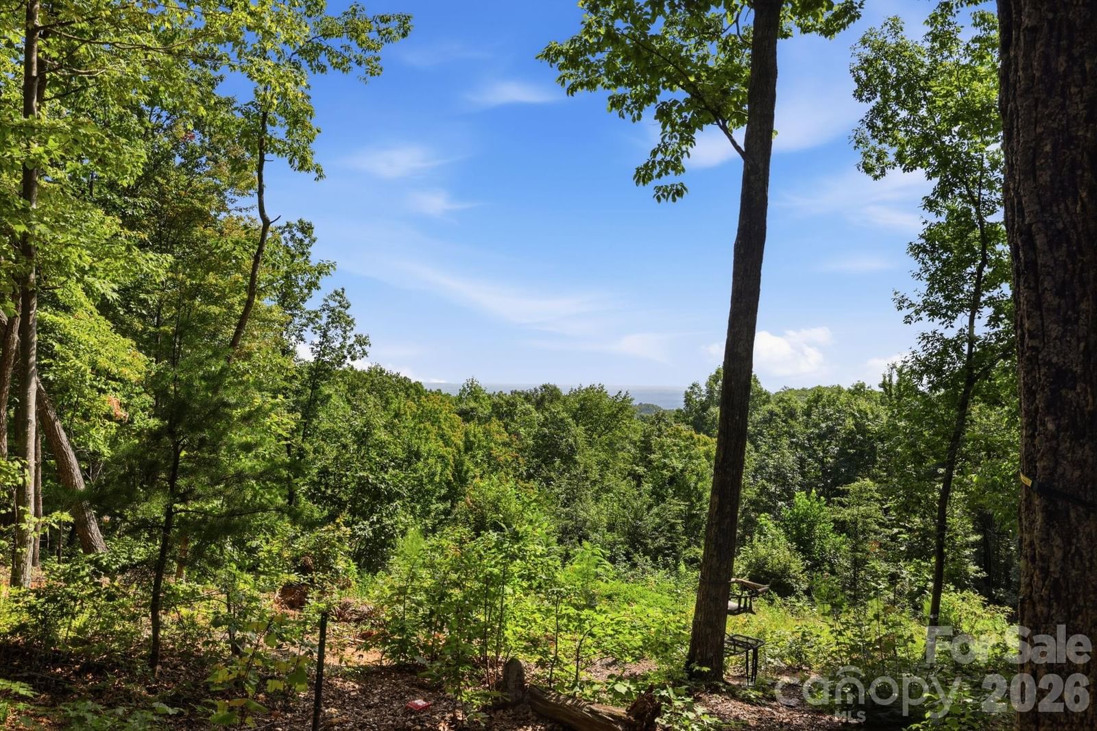 464 Mason Road, Ellenboro, NC 28040
