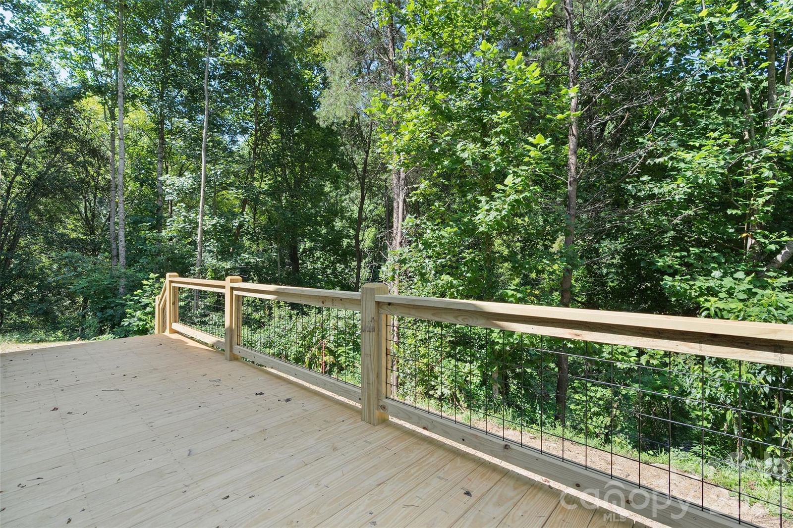 24 Green Burch Drive, Bryson City, NC 28713 - Photo 3