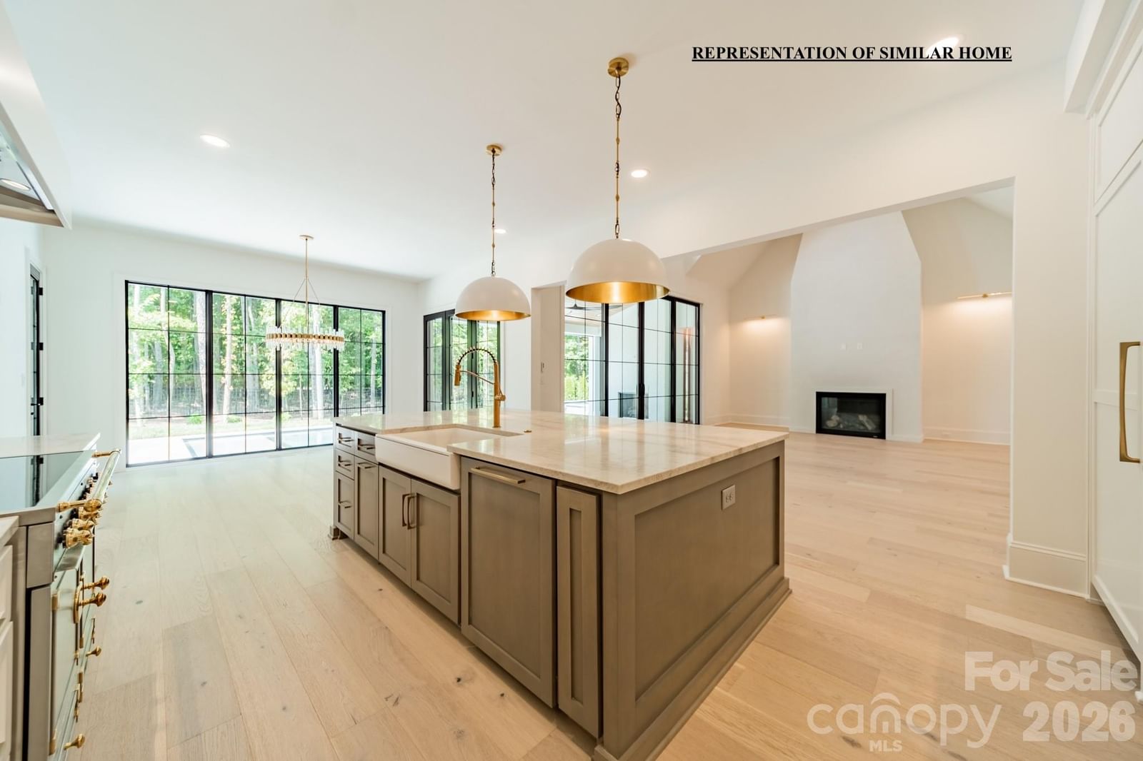 508 Deodar Cedar Drive, Weddington, NC 28104 - Photo 3