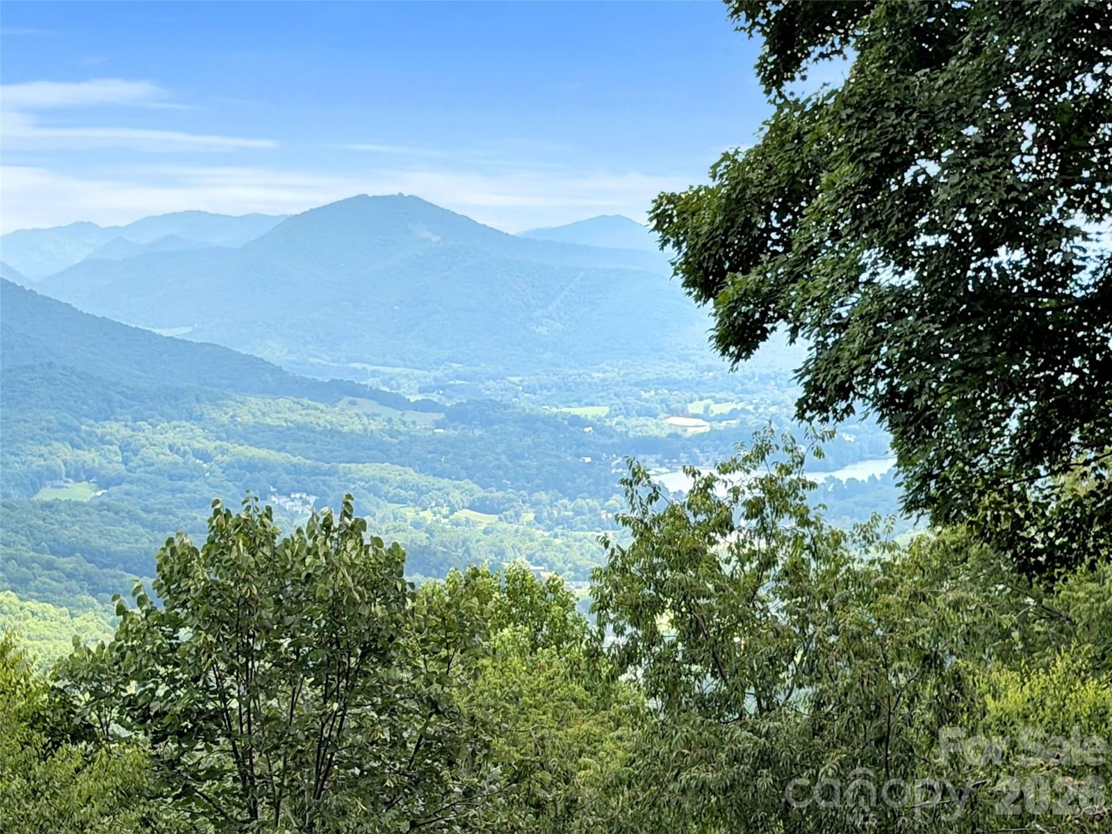 1551 Apple Creek Road, Waynesville, NC 28786 - Photo 4