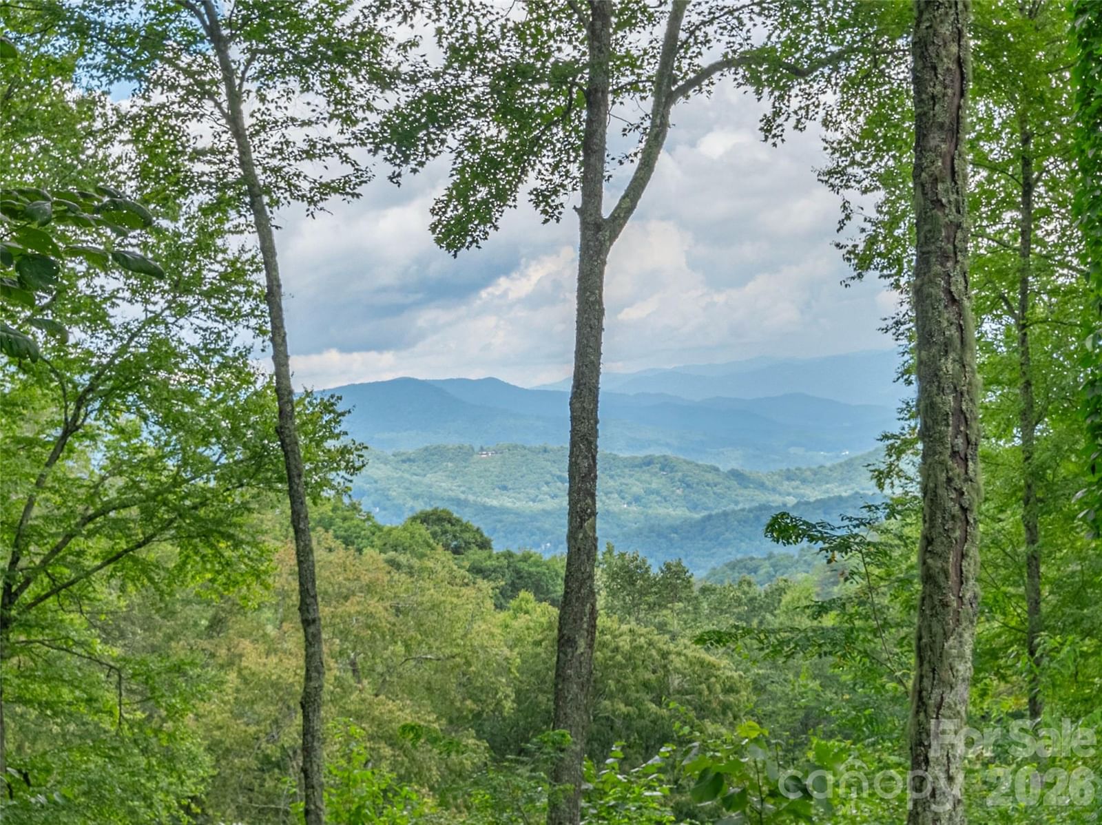332 Gadohi Trail, Maggie Valley, NC 28751 - Photo 3