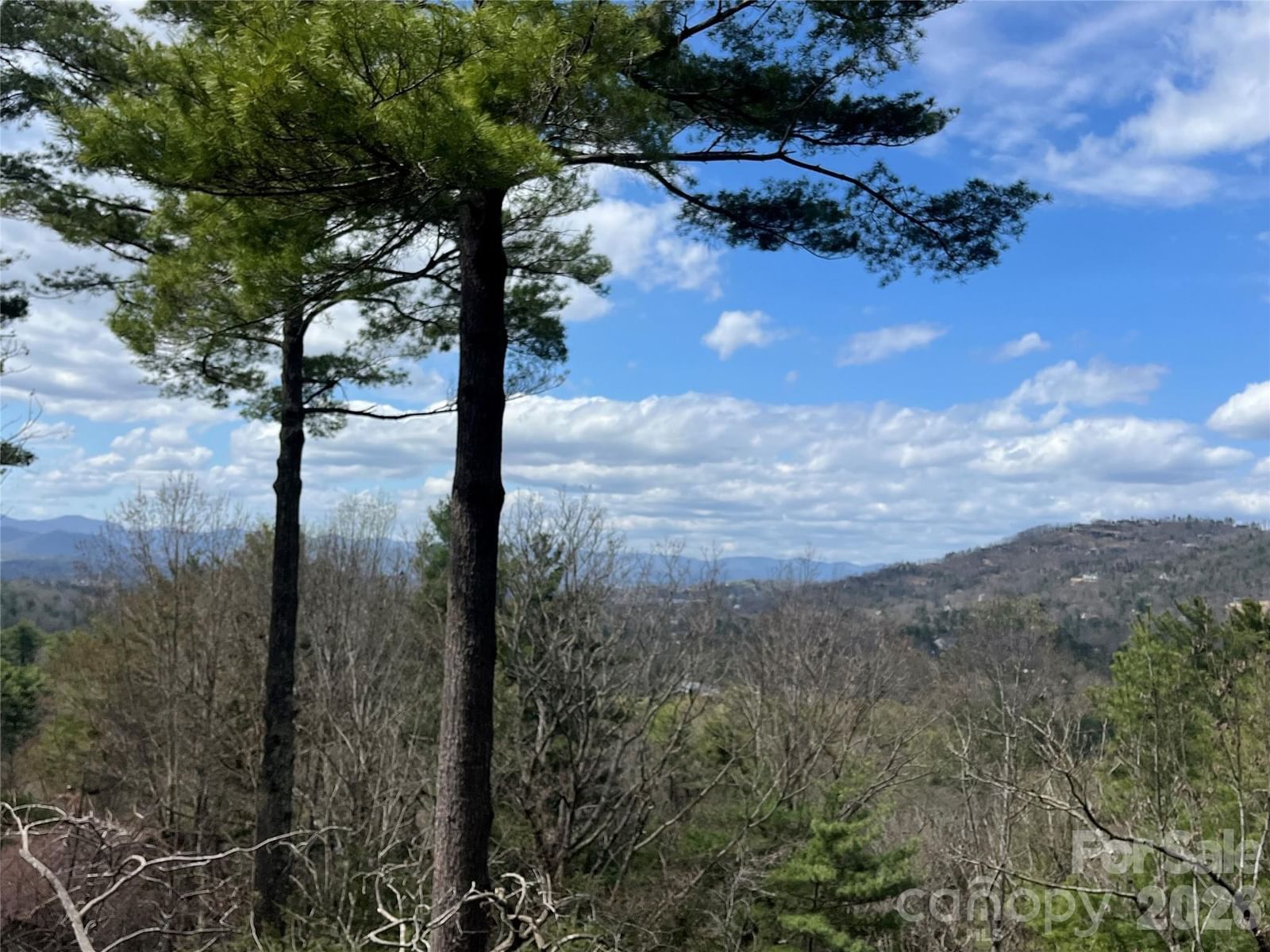 2902-A Timber Trail, Asheville, NC 28804 - Photo 3