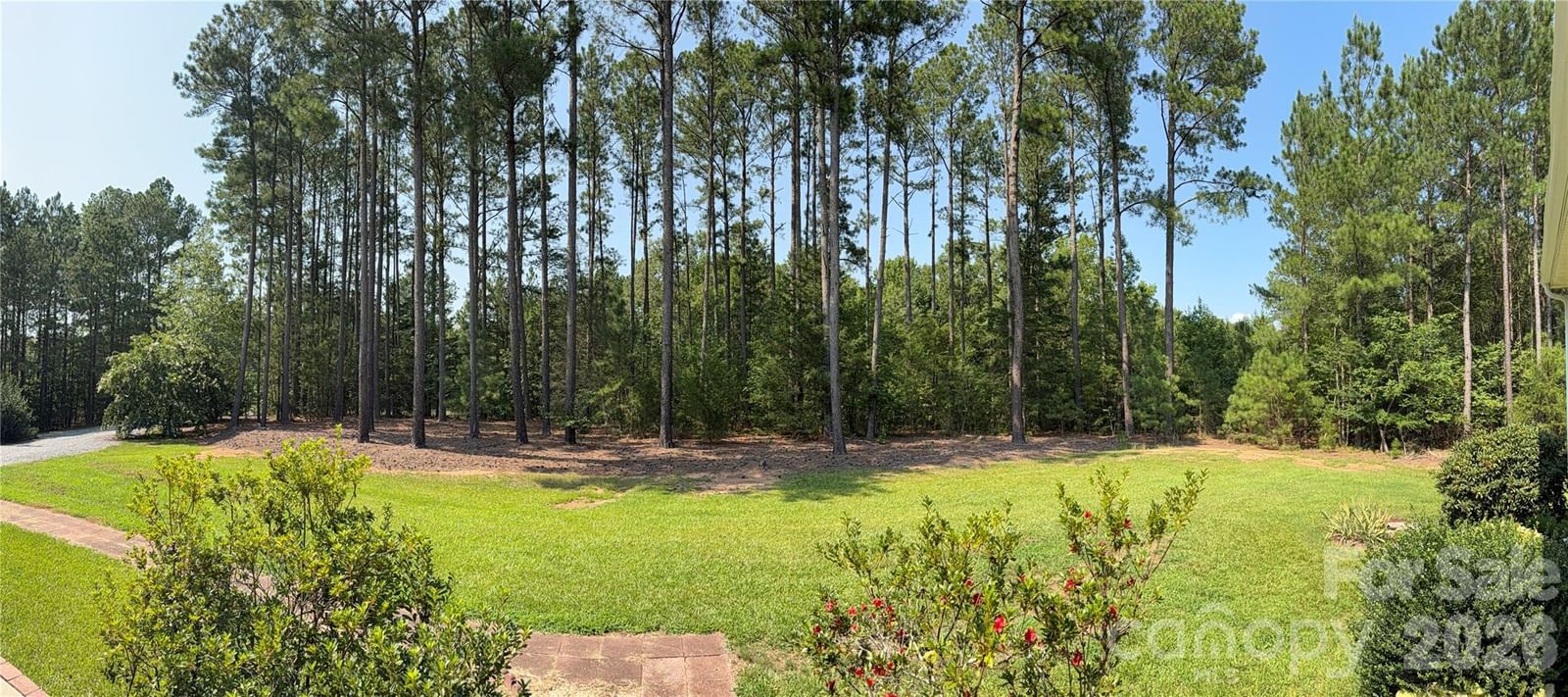 2787 Kiker Road, Peachland, NC 28133 - Photo 4