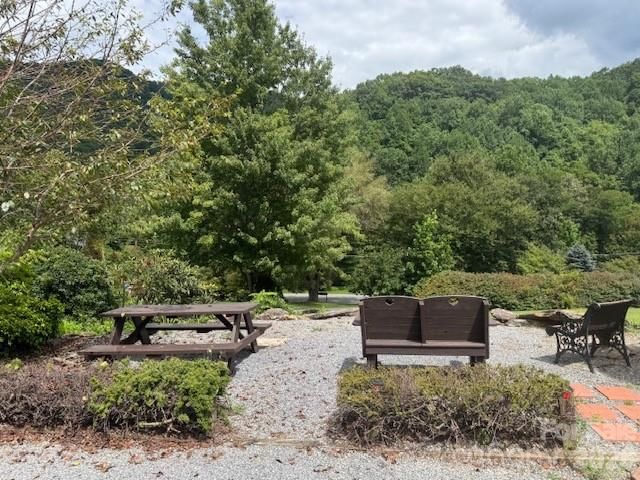 56 Chateau Lane, Maggie Valley, NC 28751 - Photo 3