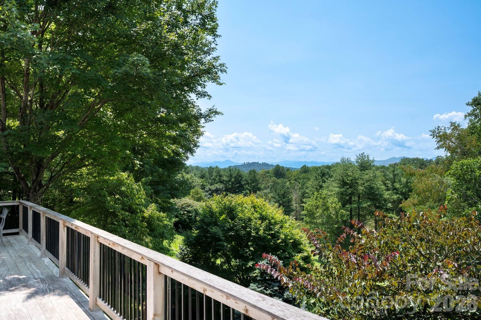 10 Blackberry Lane, Asheville, NC 28804 - Photo 2