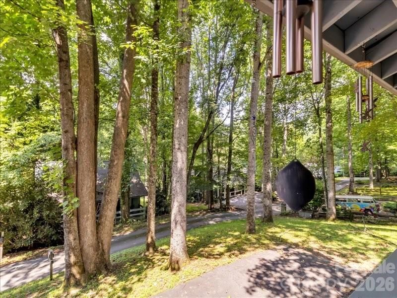 49 Lisa Lane, Maggie Valley, NC 28751 - Photo 3