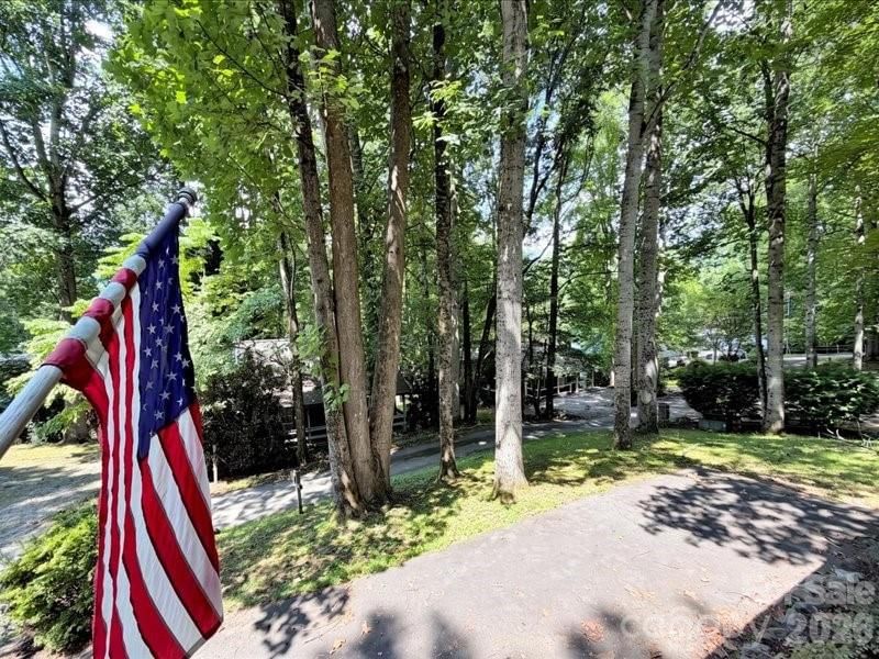49 Lisa Lane, Maggie Valley, NC 28751 - Photo 2
