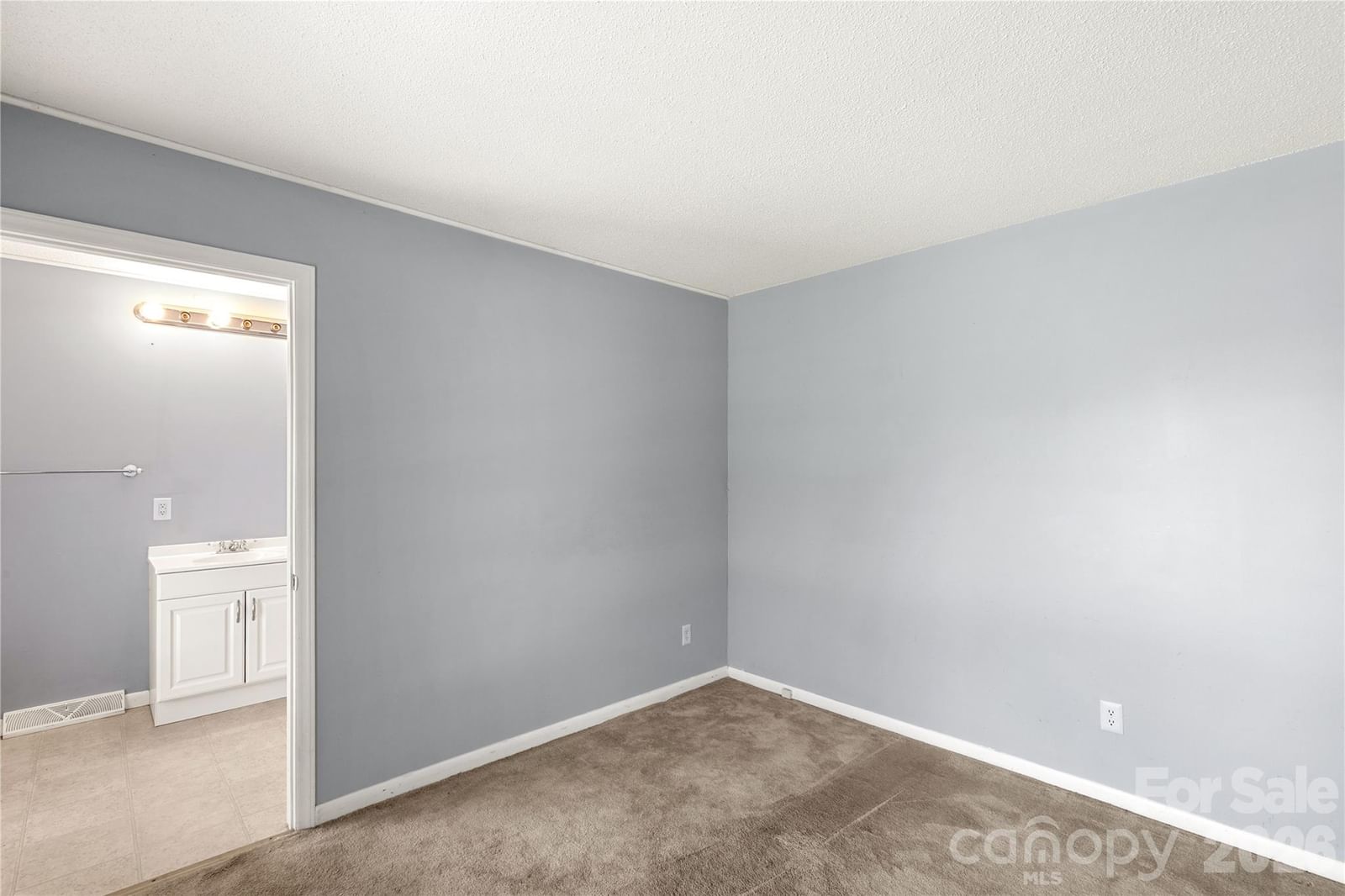 1007 Ragin Lane, Rock Hill, SC 29732 - Photo 4