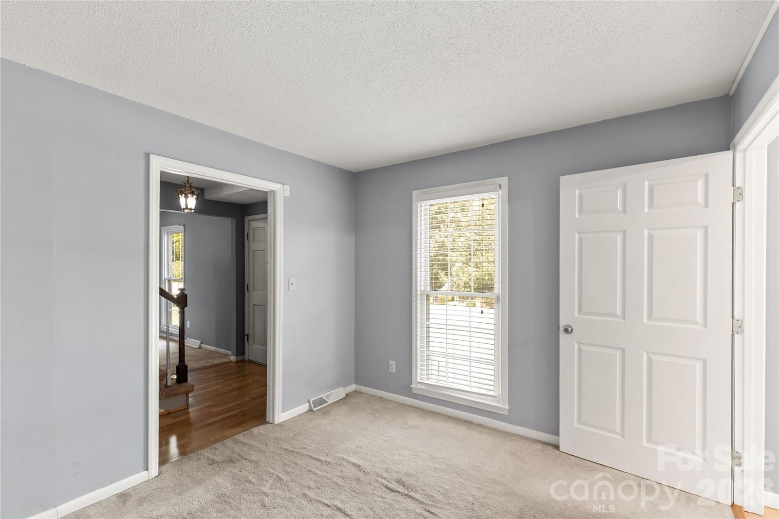 1007 Ragin Lane, Rock Hill, SC 29732 - Photo 5