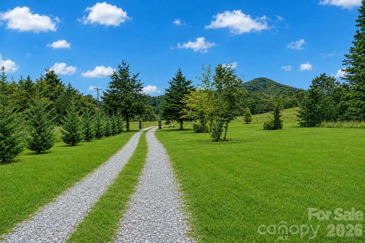 2428 Old Fort Sugar Hill Road, Old Fort, NC 28762 - Photo 2