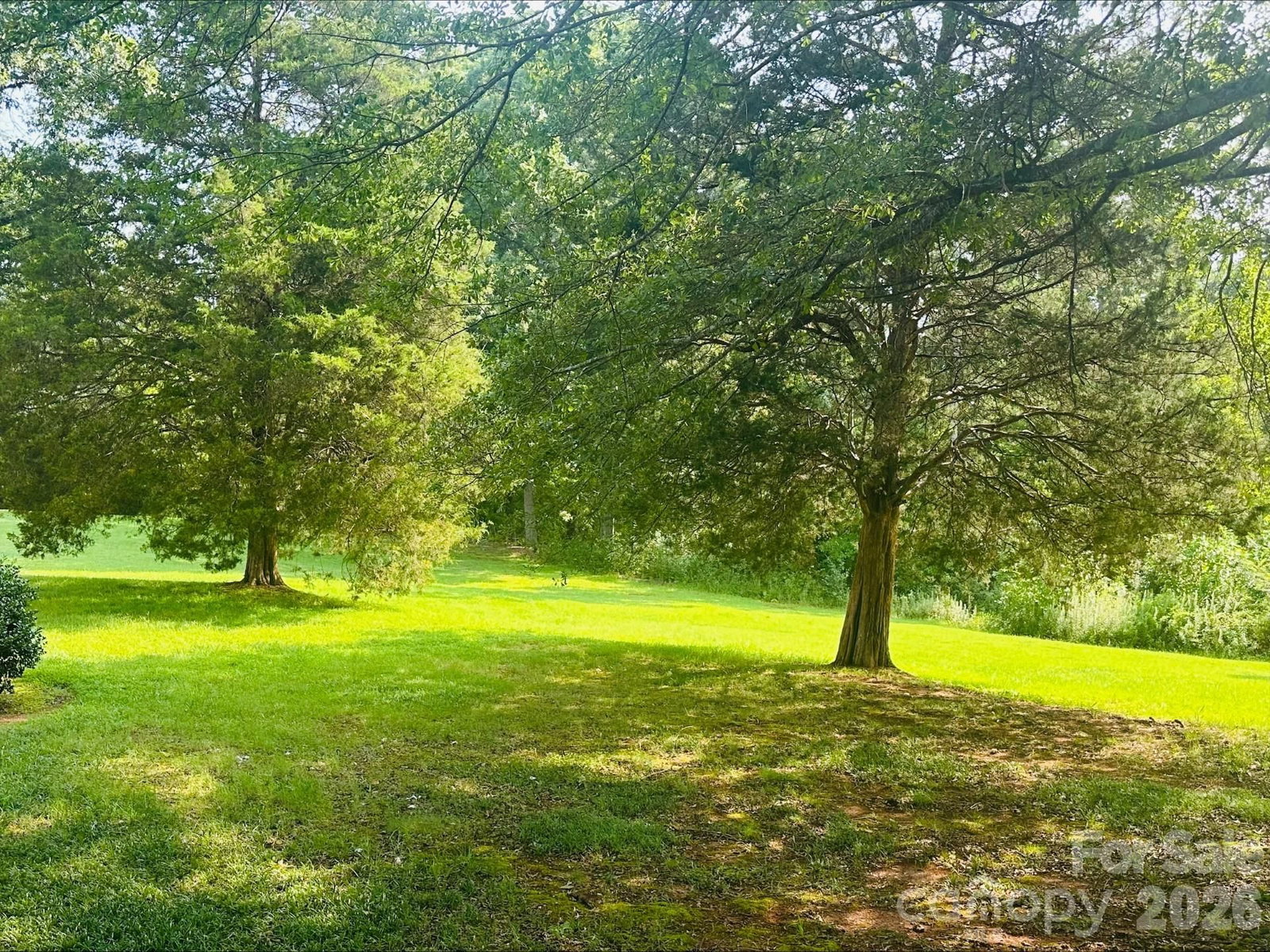 1952 Nc 16 Business Highway, Denver, NC 28037 - Photo 3