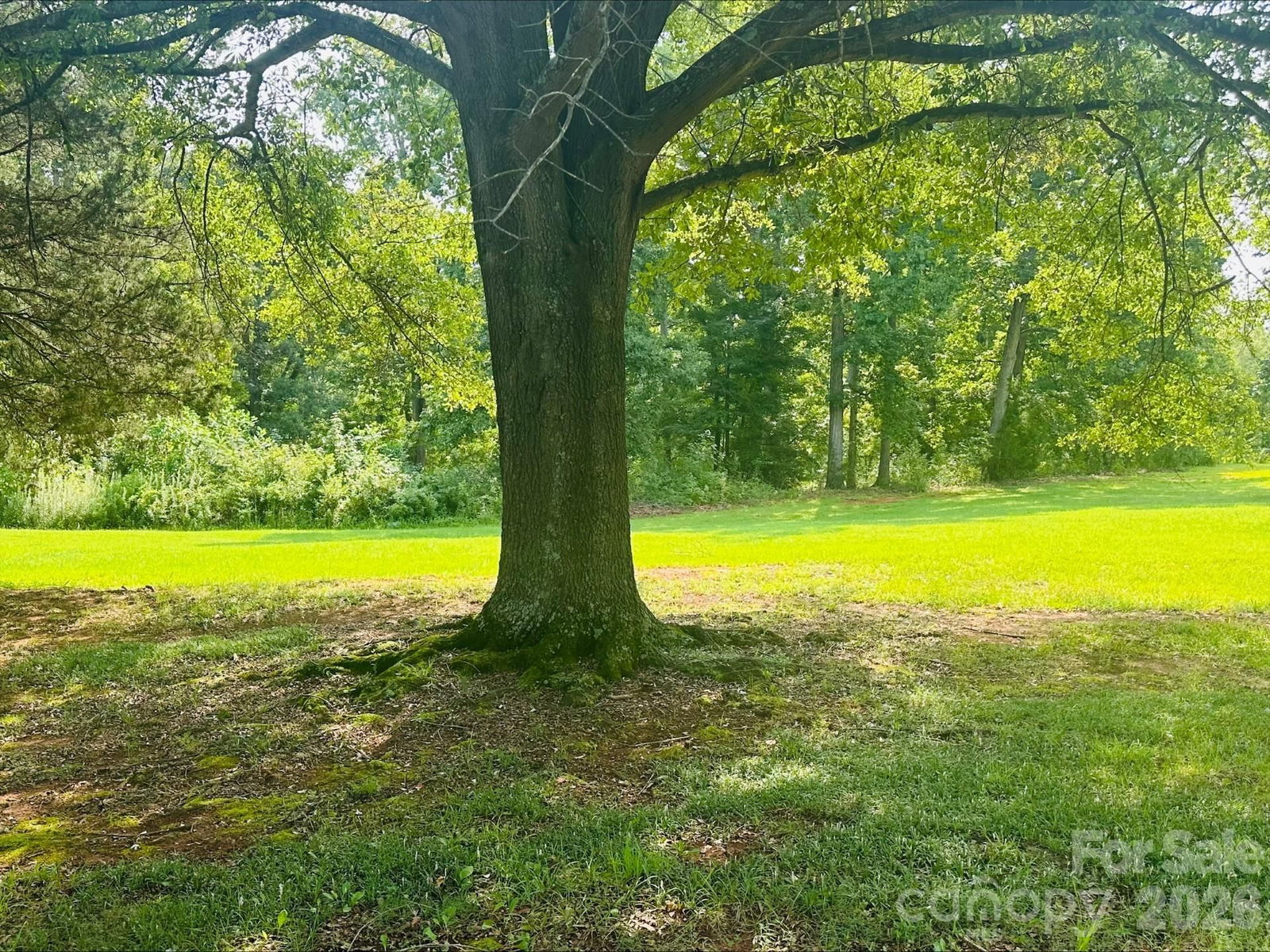 1952 Nc 16 Business Highway, Denver, NC 28037 - Photo 4