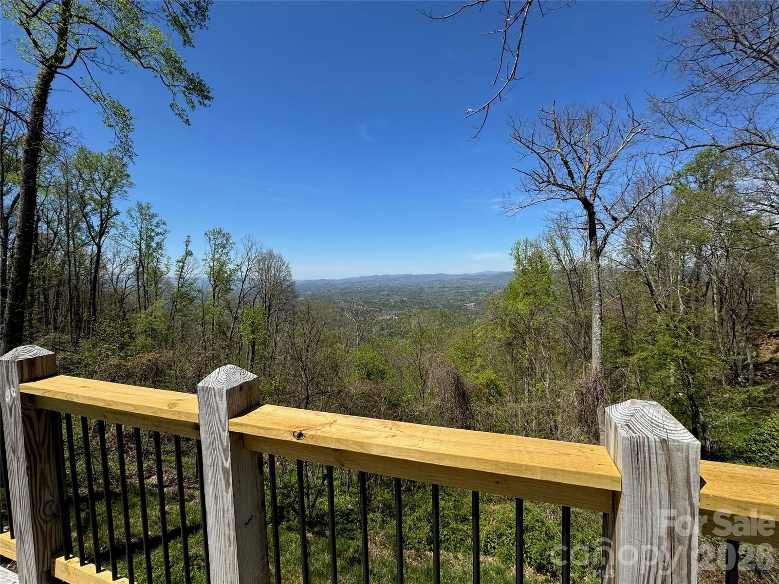 87 Island In The Sky Trail, Weaverville, NC 28787 - Photo 4