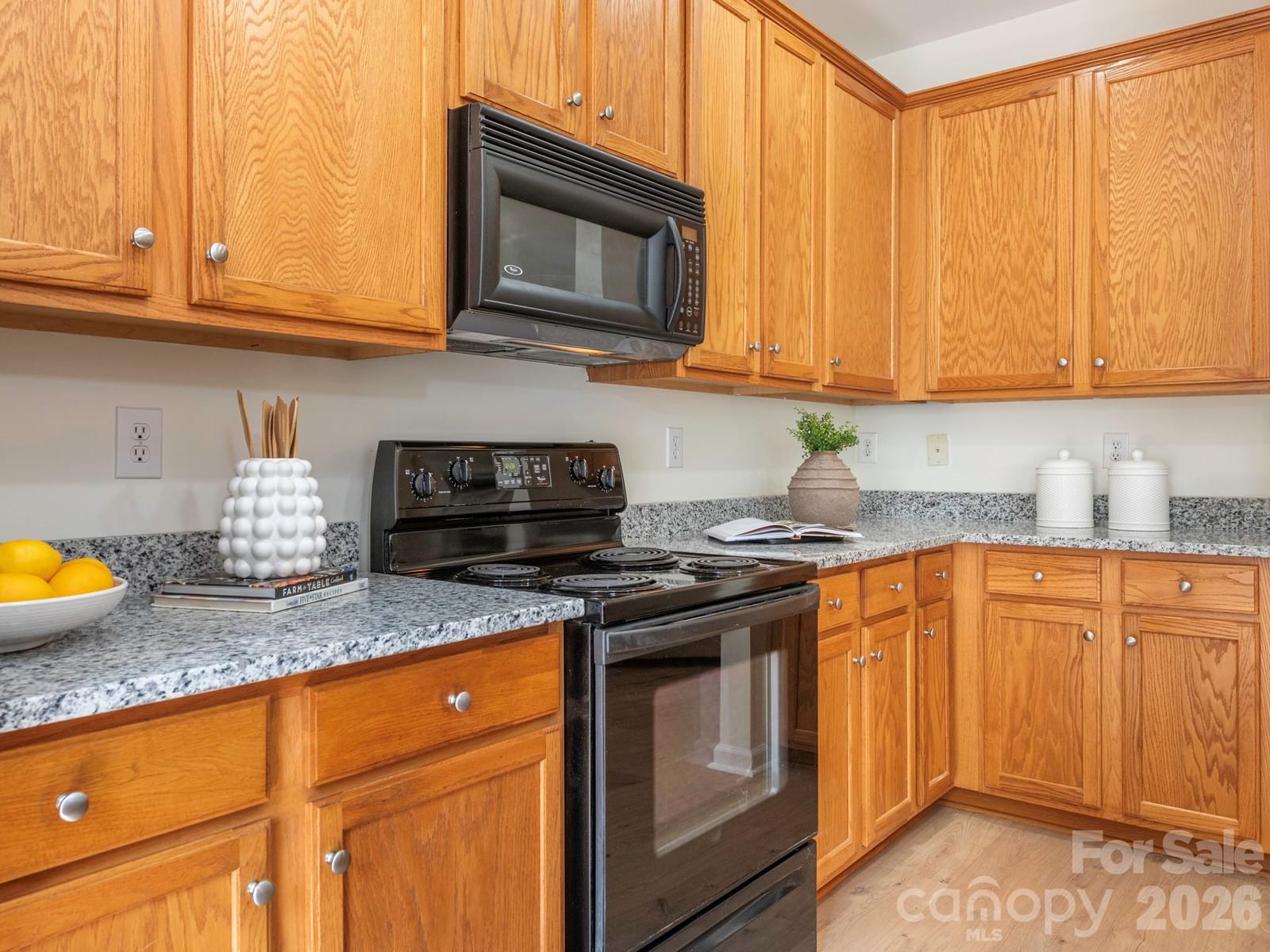 1303 Smokey Quartz Lane #132, Fort Mill, SC 29708 - Photo 2