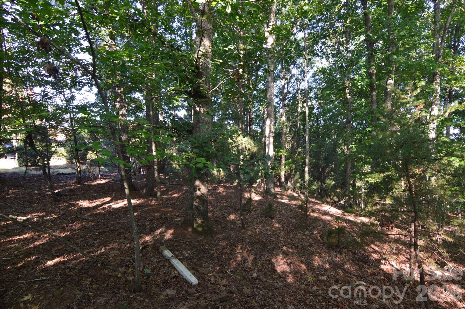 3036 Lake Pointe Drive #170, Belmont, NC 28012 - Photo 5