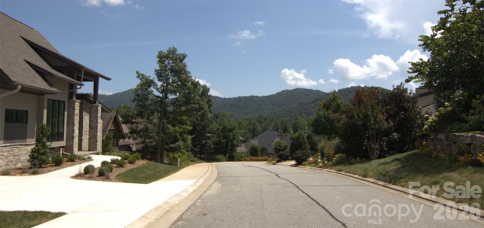 47 Versailles Lane, Asheville, NC 28804 - Photo 4