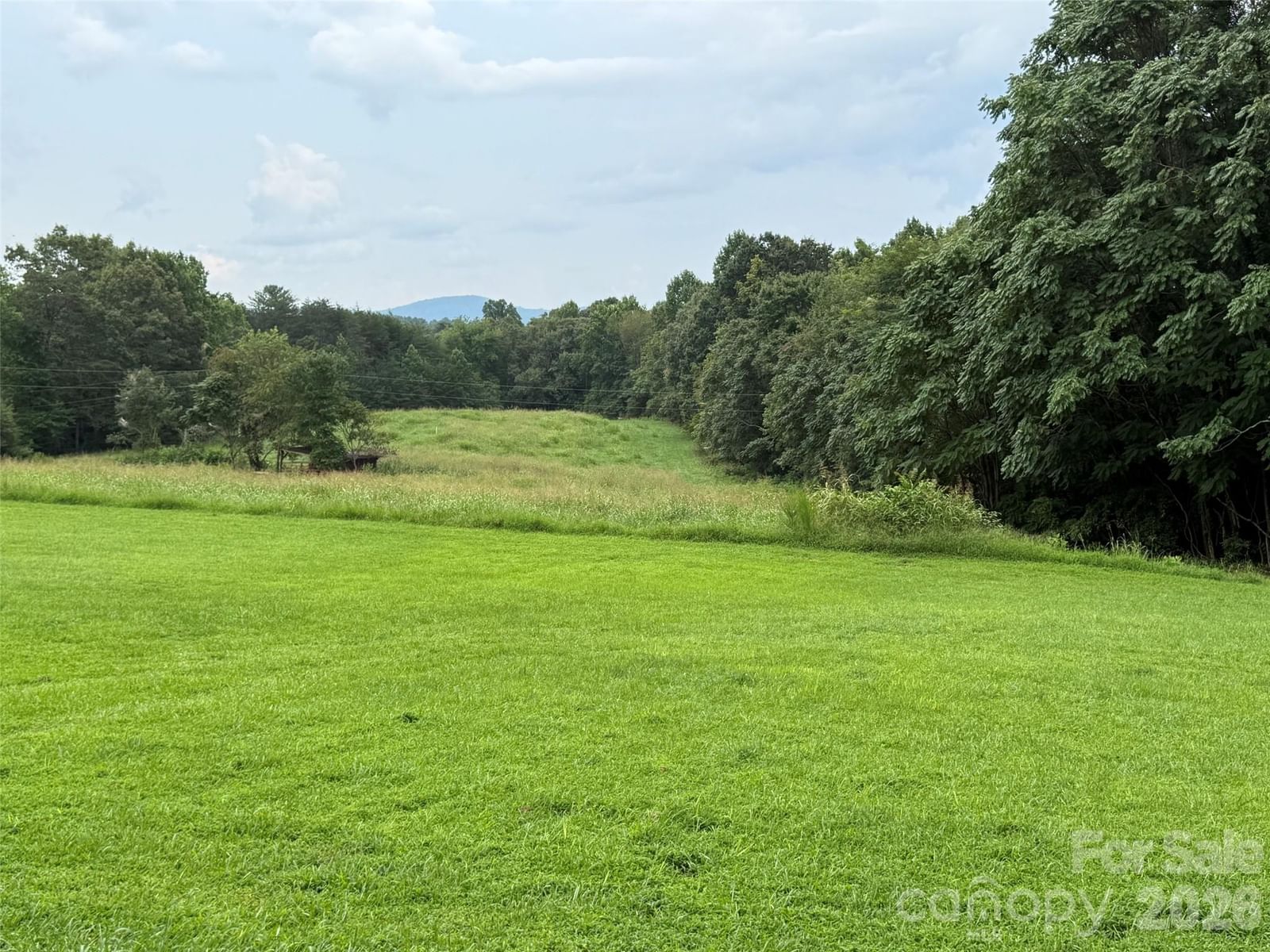 591 Moore Lane, Taylorsville, NC 28681 - Photo 2