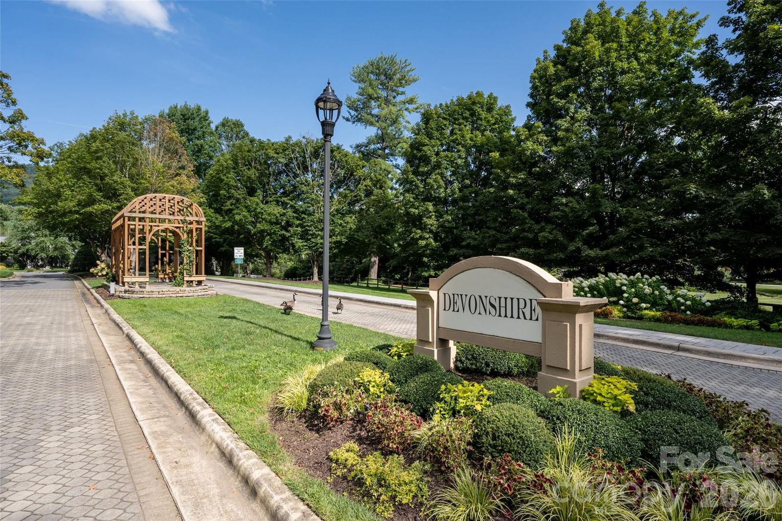 8 Clovelly Way, Asheville, NC 28803 - Photo 4
