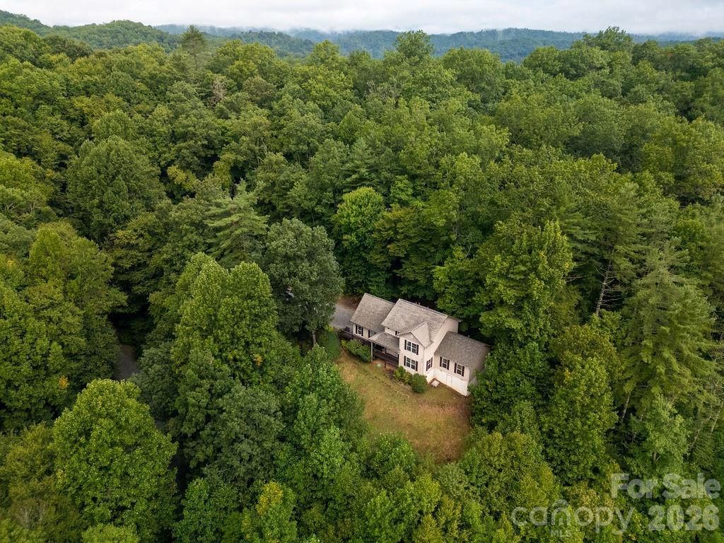 62 Pine Hill Drive, Brevard, NC 28712 - Photo 4