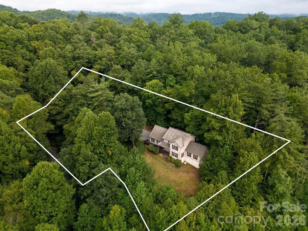 62 Pine Hill Drive, Brevard, NC 28712 - Photo 5