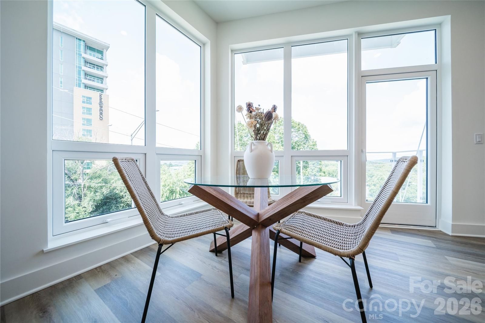 123 Haywood Street #301, Asheville, NC 28801 - Photo 5