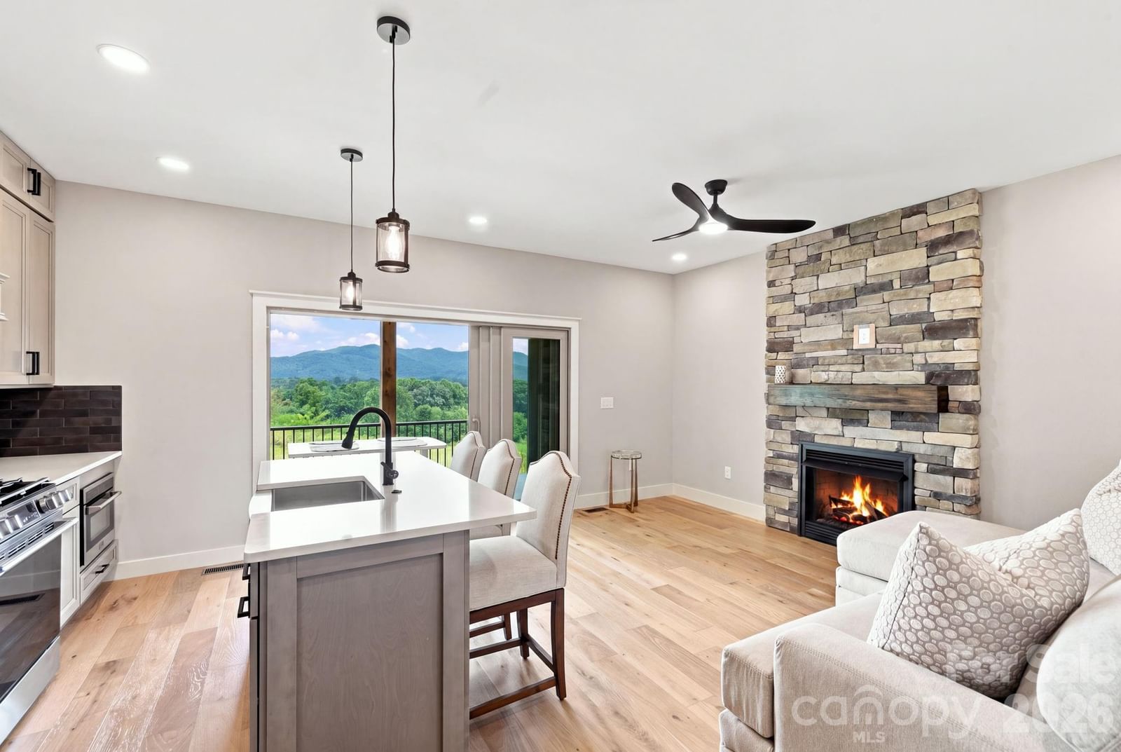 128 Chepstow Place, Black Mountain, NC 28711 - Photo 3