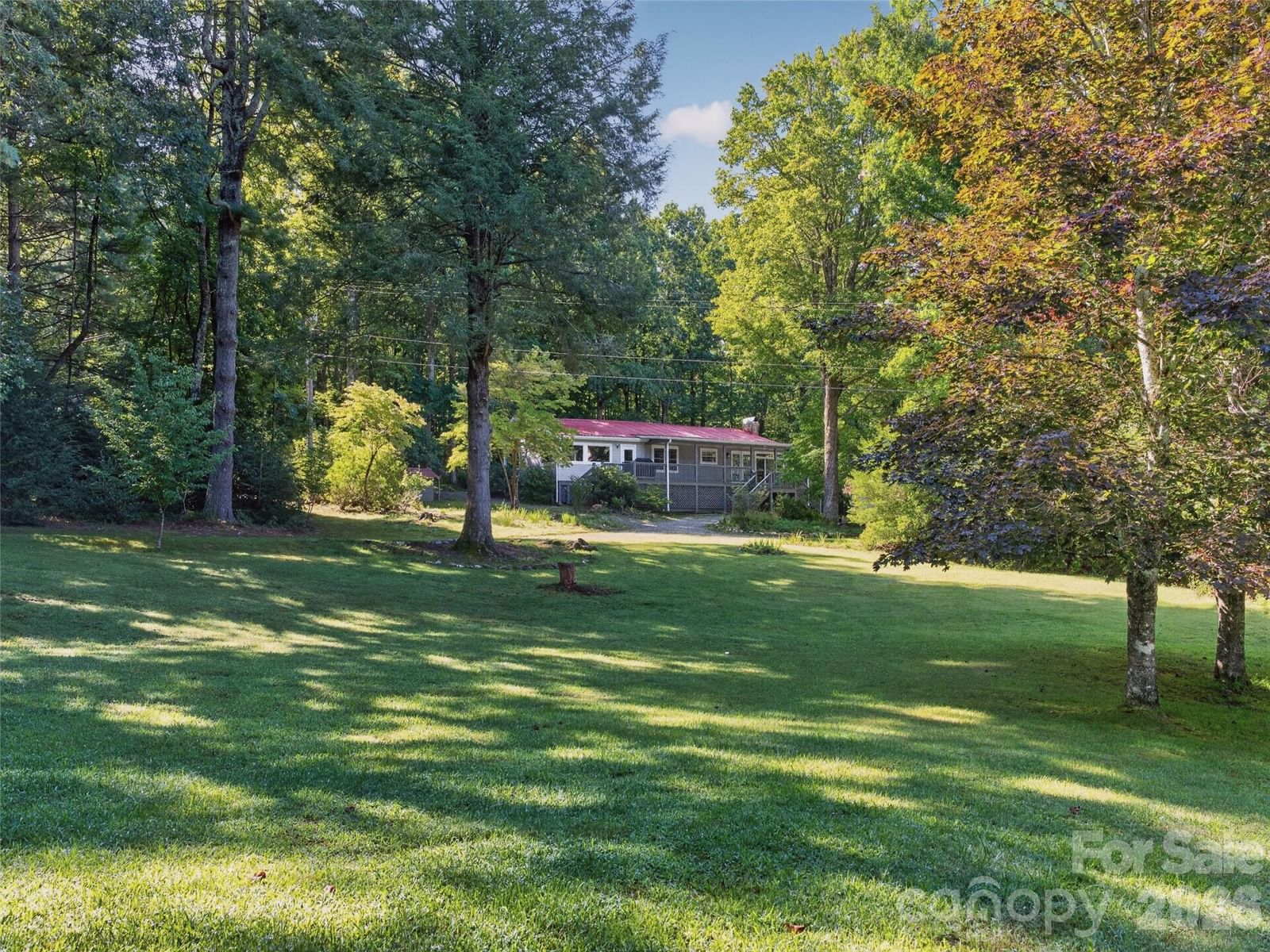 1900 Solomon Jones Road, Cedar Mountain, NC 28718 - Photo 2