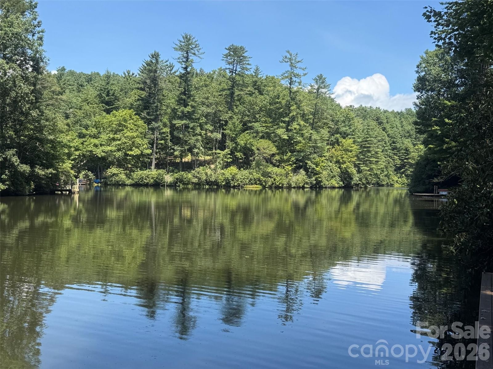 130 Cherokee Circle, Lake Toxaway, NC 28747 - Photo 4