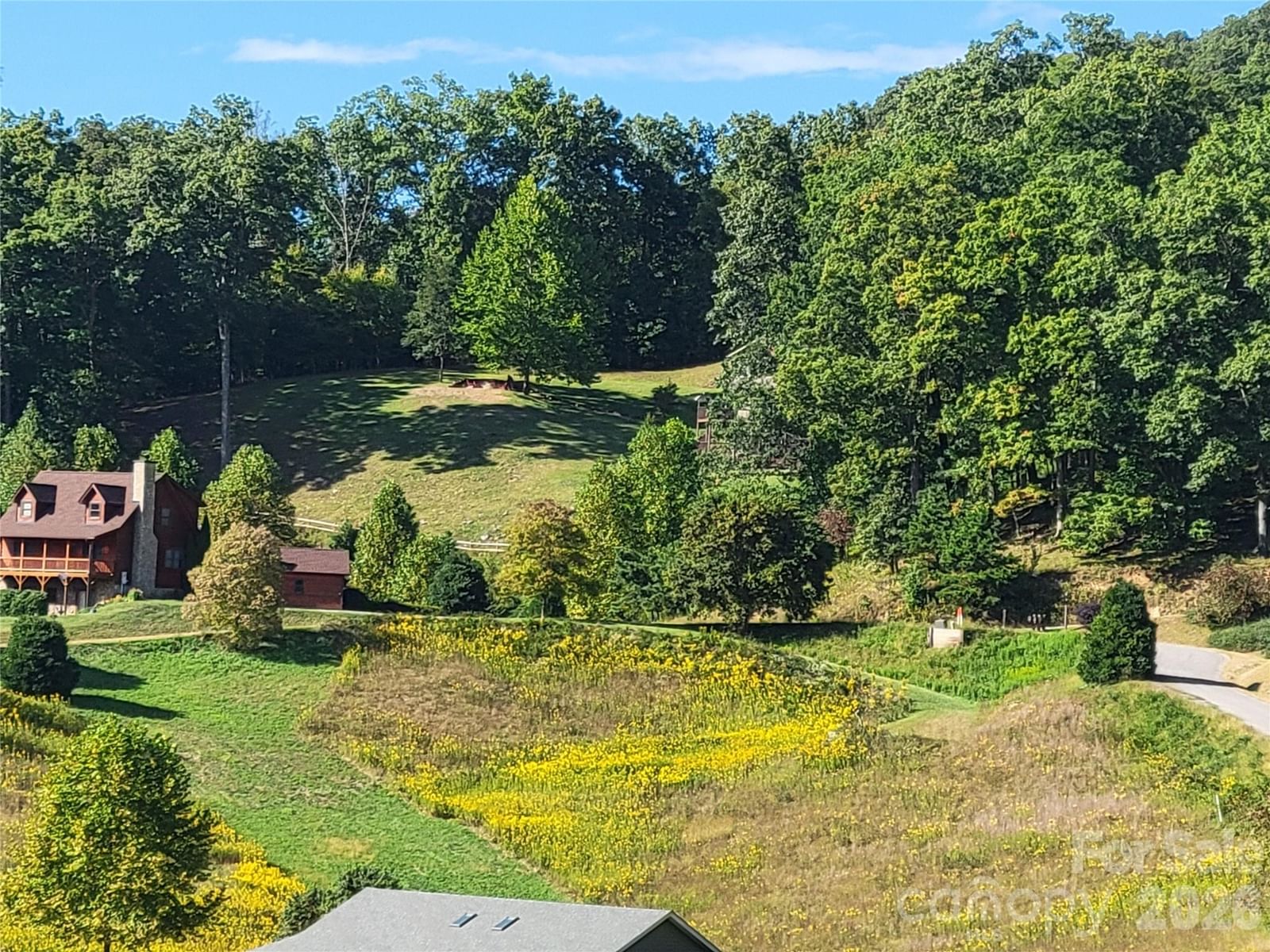 507 Utah Mountain Road, Waynesville, NC 28785 - Photo 5
