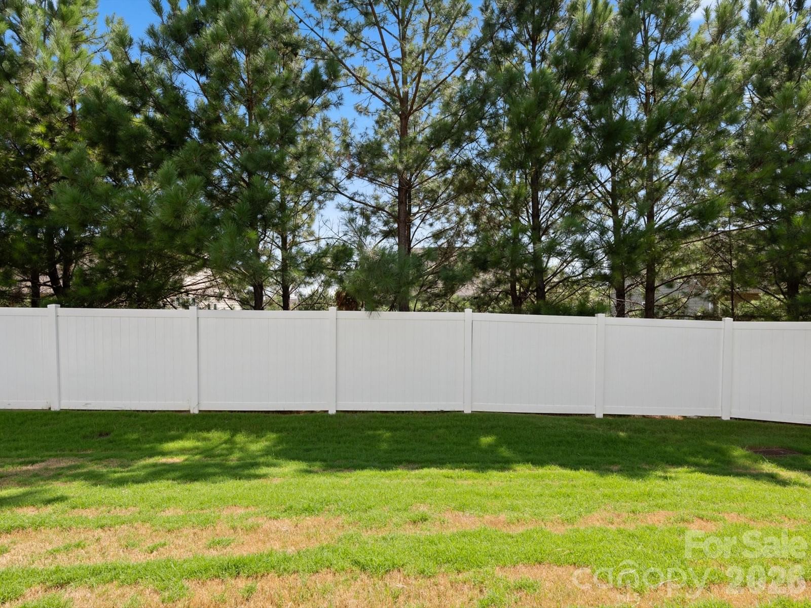 2035 Pinyon Lane, Lancaster, SC 29720 - Photo 4