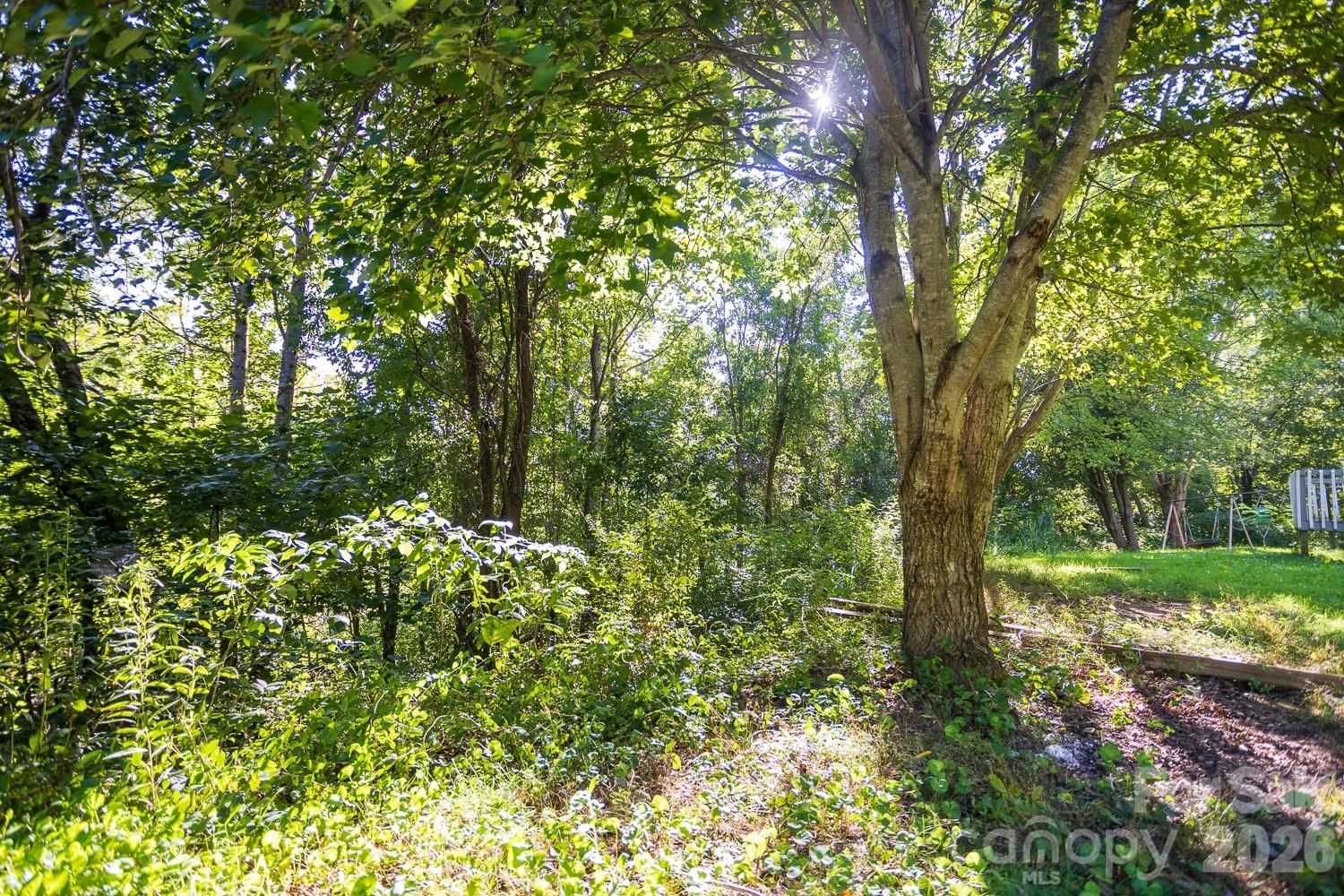 56 Longs Chapel Road, Weaverville, NC 28787 - Photo 2