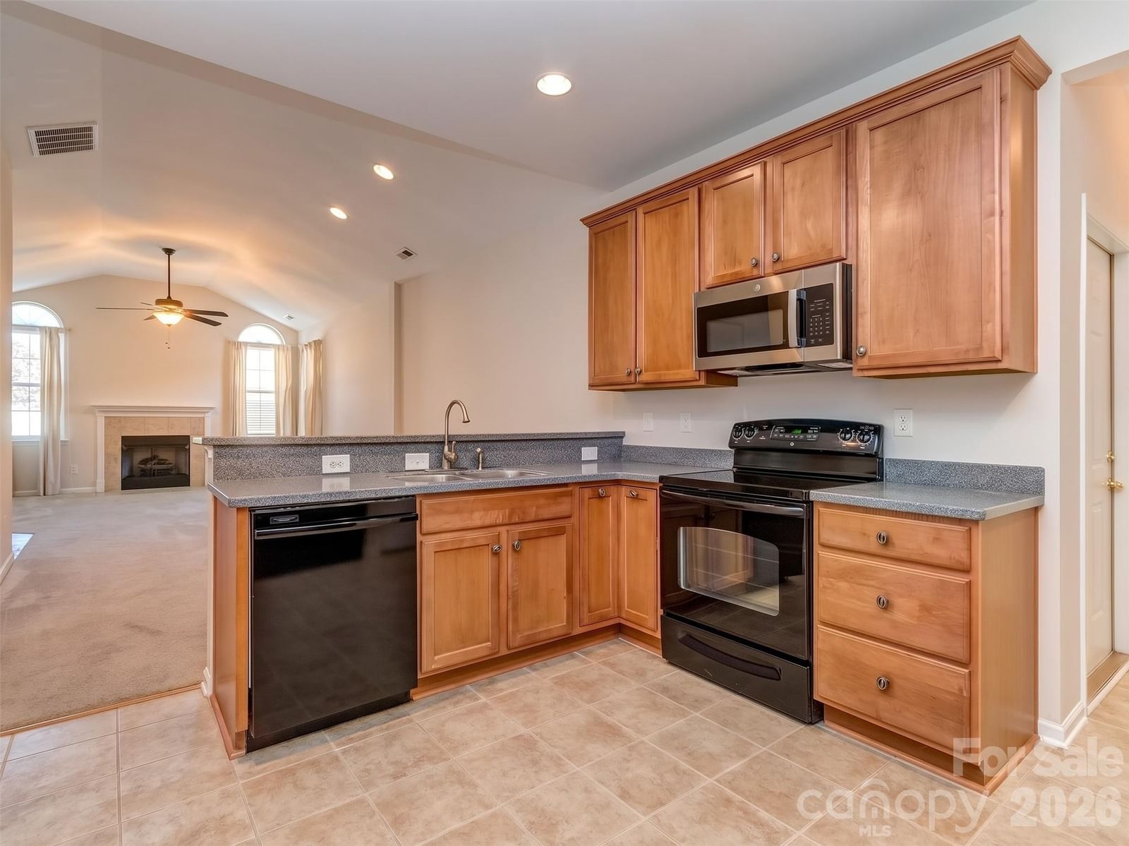776 Ledgestone Court, Tega Cay, SC 29708 - Photo 4