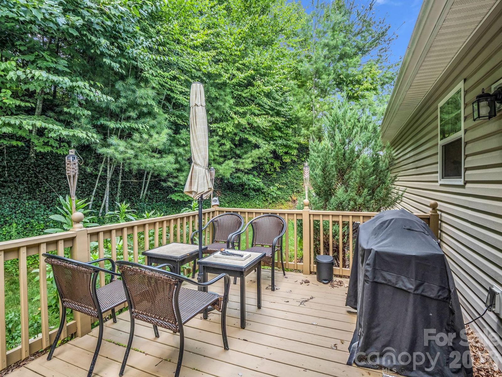 101 Plato Place, Etowah, NC 28729 - Photo 5