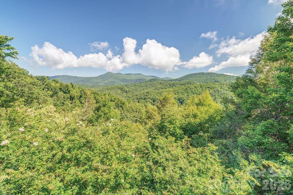 94 Marcellina Drive, Fairview, NC 28730 - Photo 5