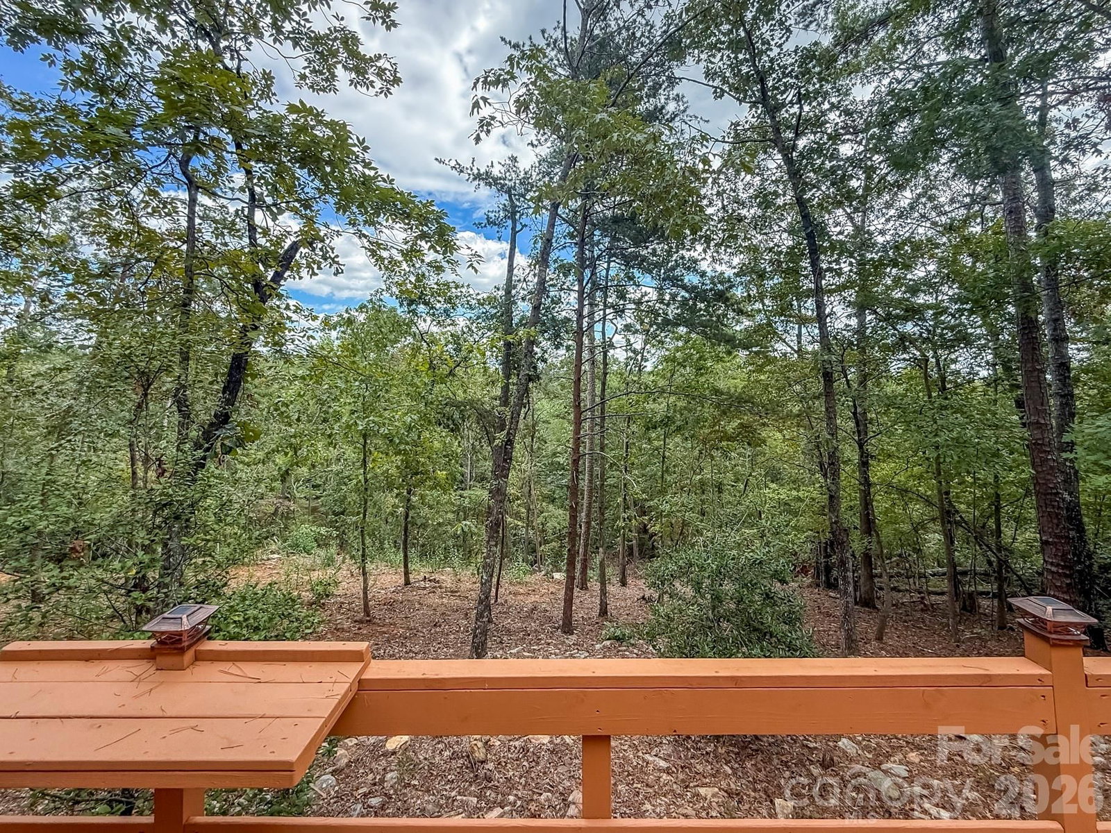 253 Nors Way, Lake Lure, NC 28746 - Photo 4