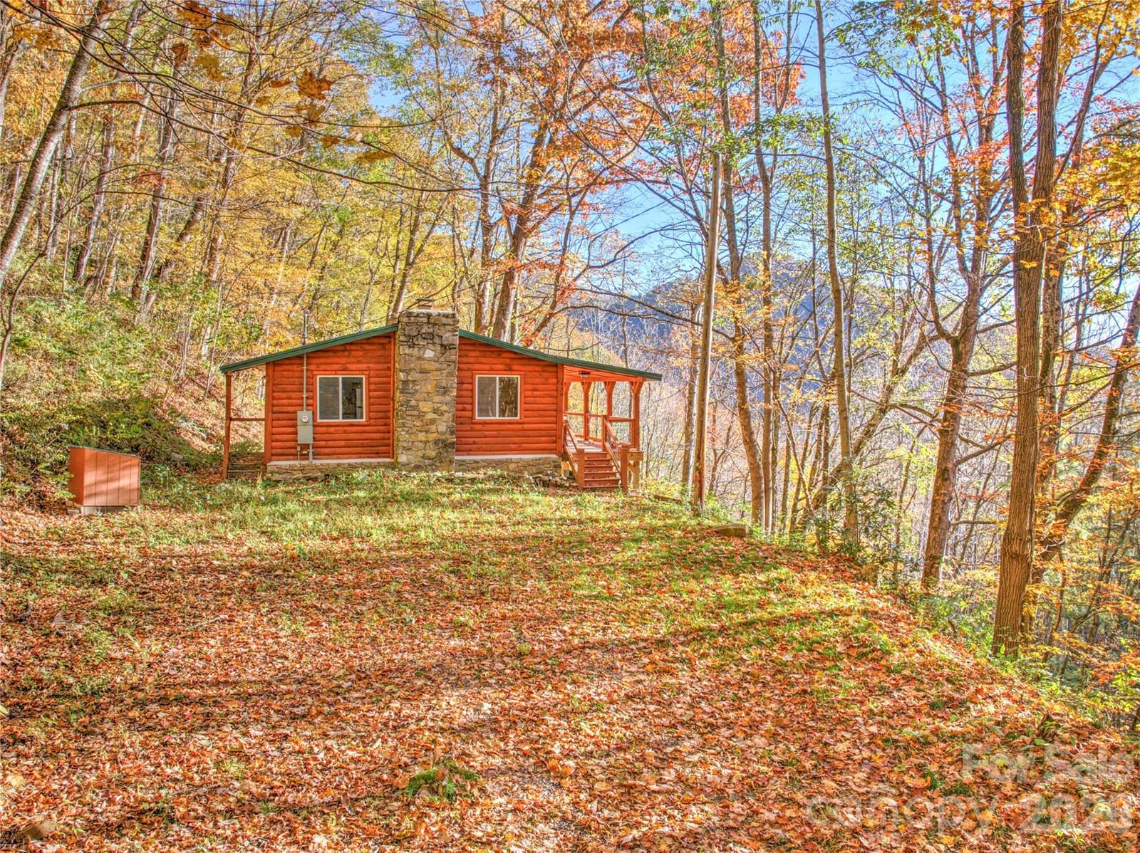 430 Long Branch Road, Clyde, NC 28721 - Photo 4