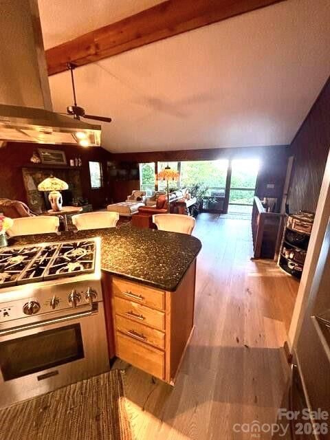 70 Calhoun Ridge Road, Waynesville, NC 28786 - Photo 5