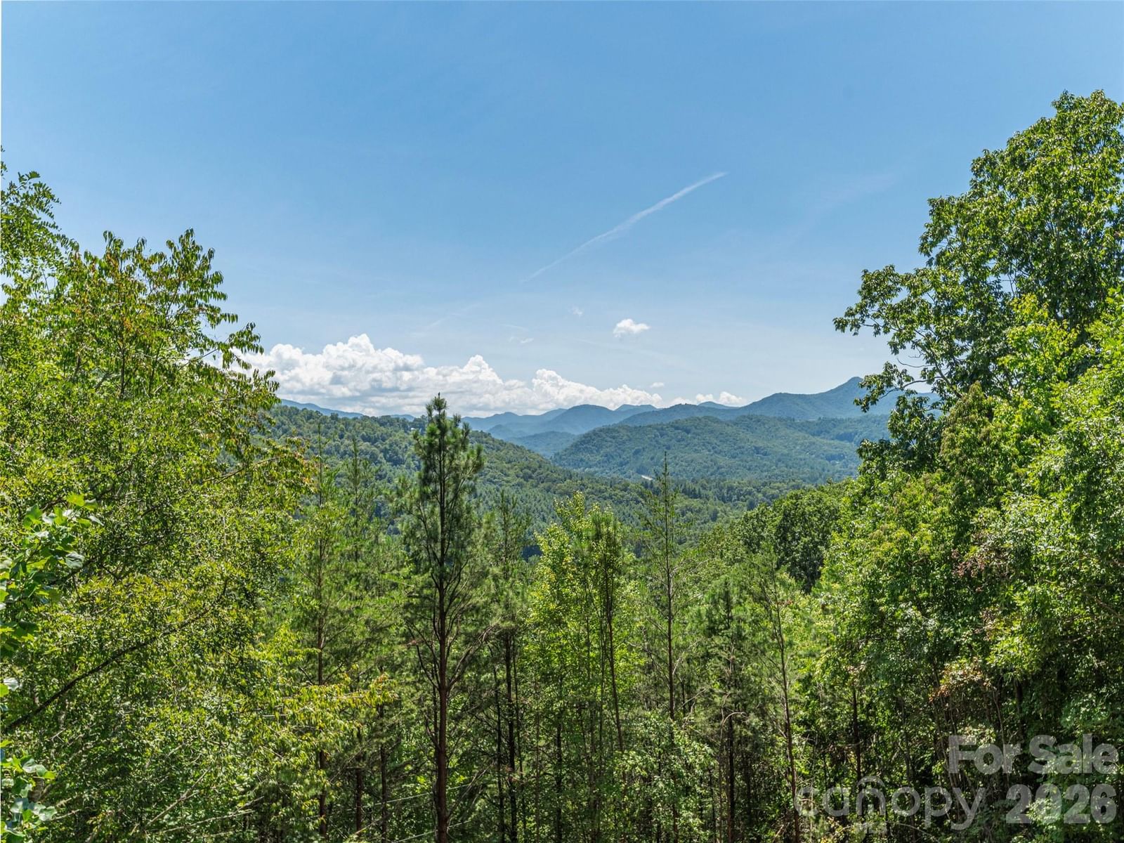 499 Match Point, Sylva, NC 28779 - Photo 2