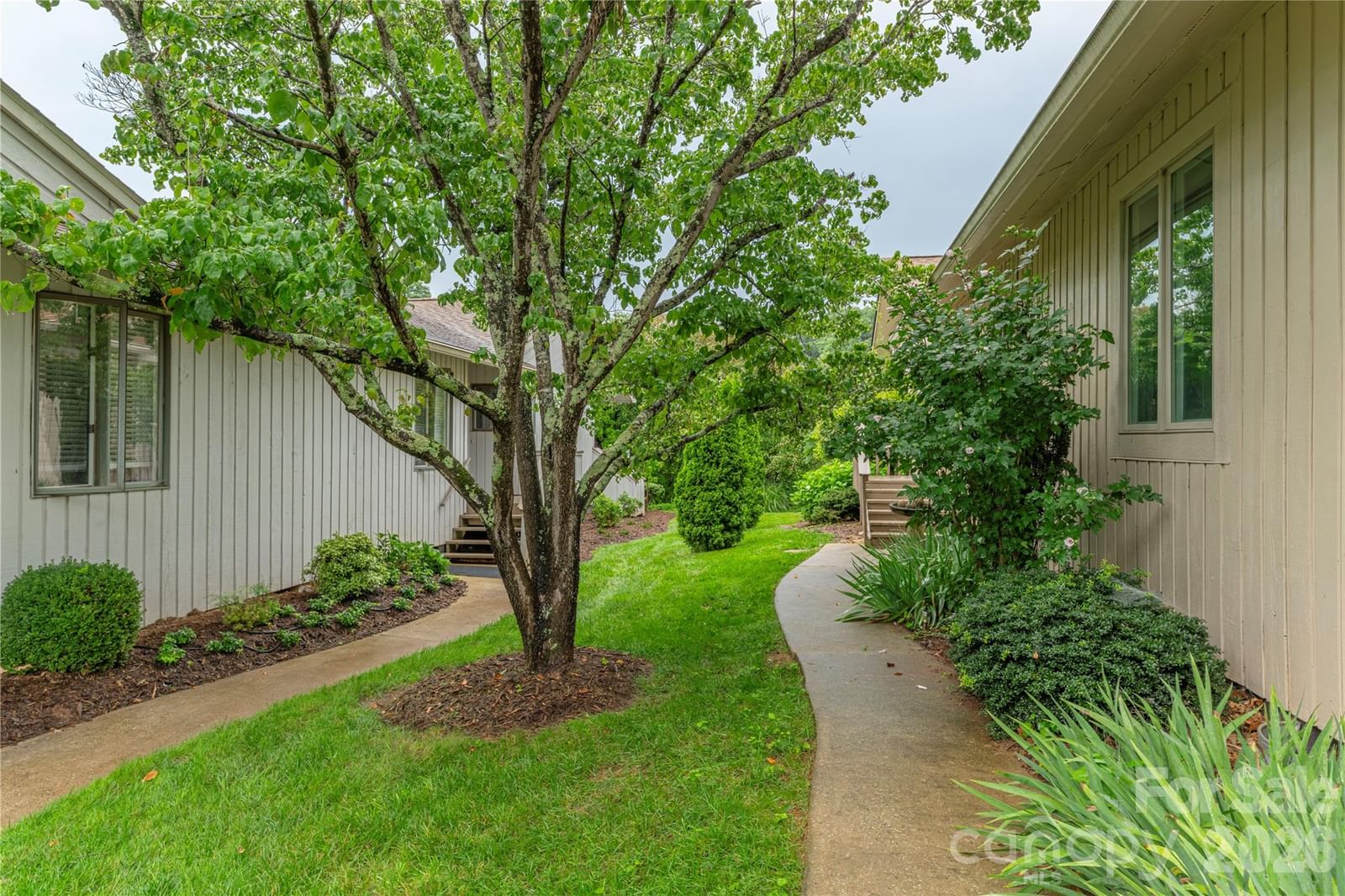 121 Deerlake Drive, Asheville, NC 28803 - Photo 2
