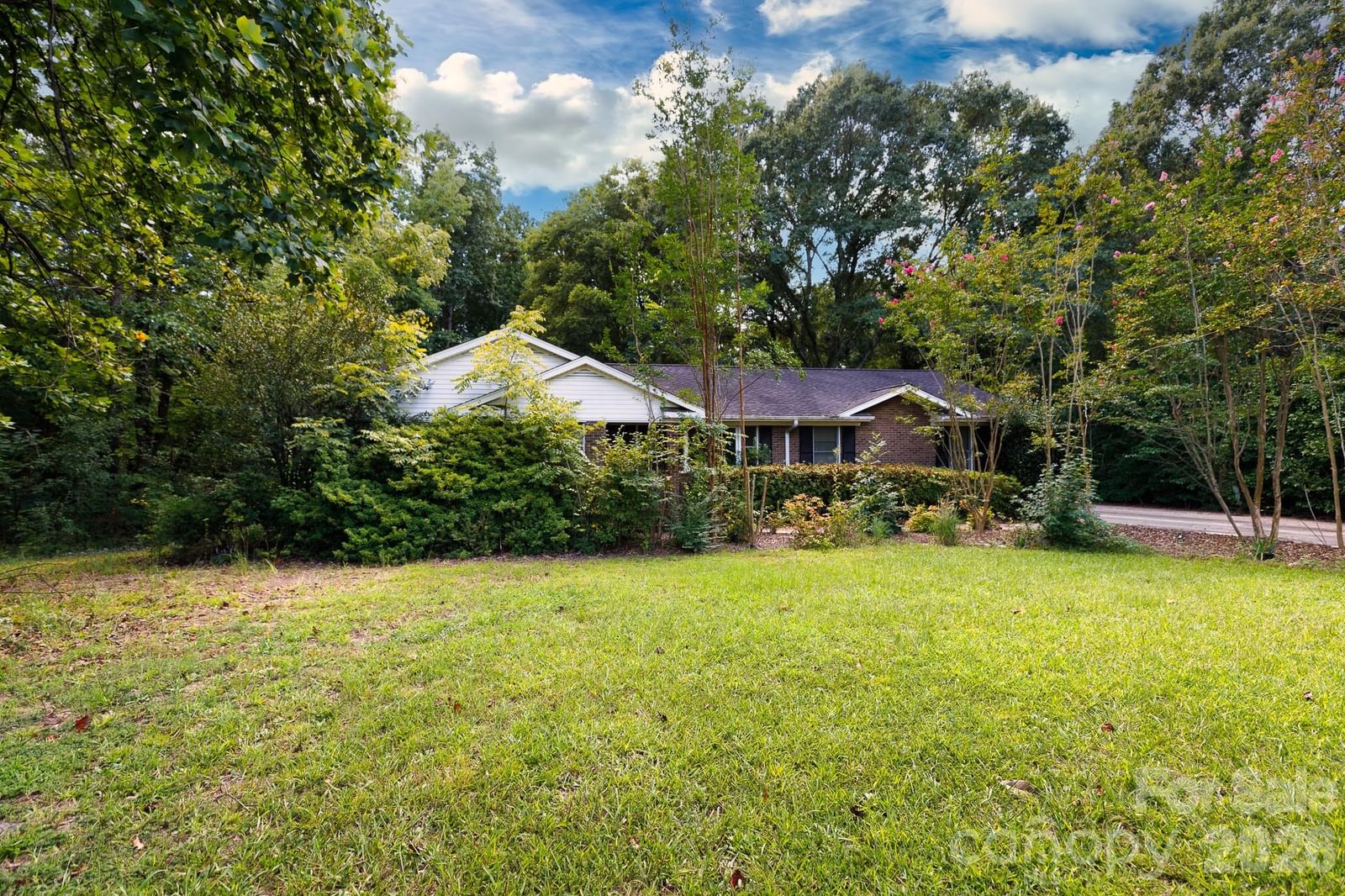 3550 Tree Line Drive, Rock Hill, SC 29732 - Photo 2