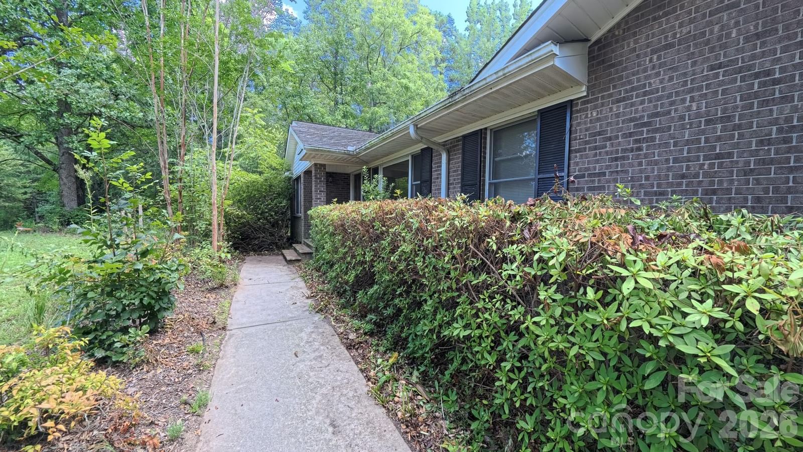 3550 Tree Line Drive, Rock Hill, SC 29732 - Photo 4