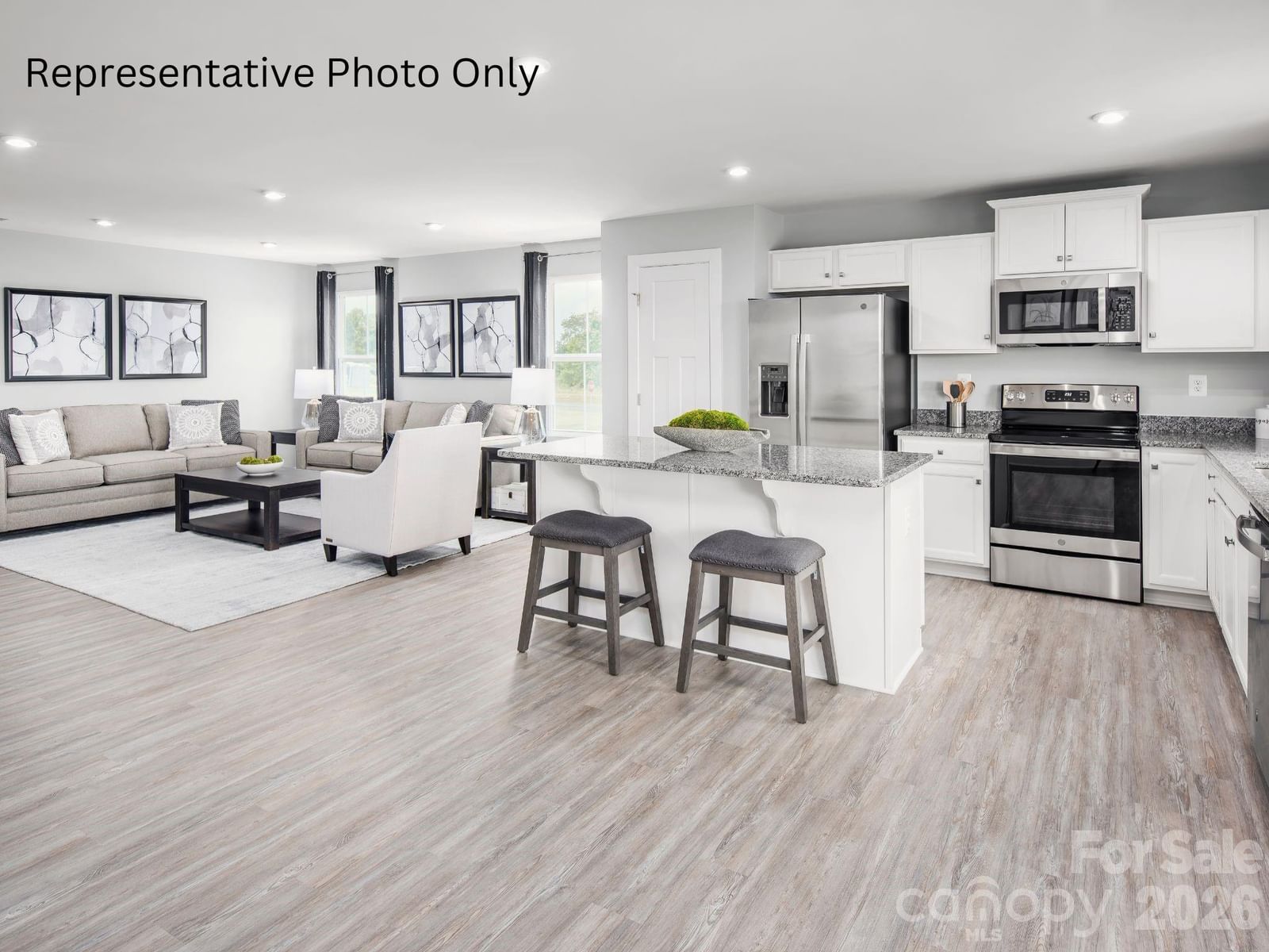 906 Pemberley Street, Lancaster, SC 29720 - Photo 3