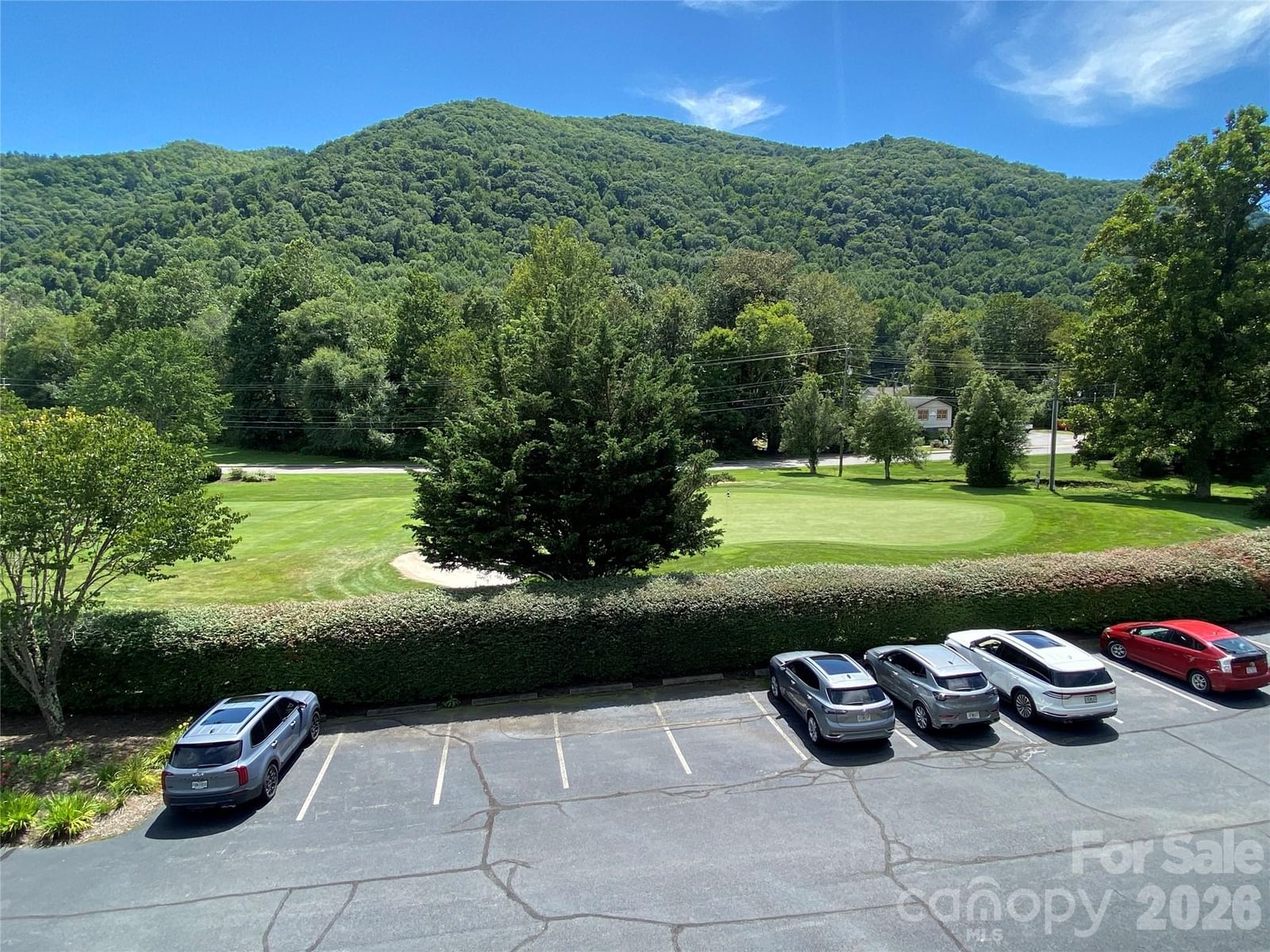 65 Glenview Lane #3029, Maggie Valley, NC 28751 - Photo 4
