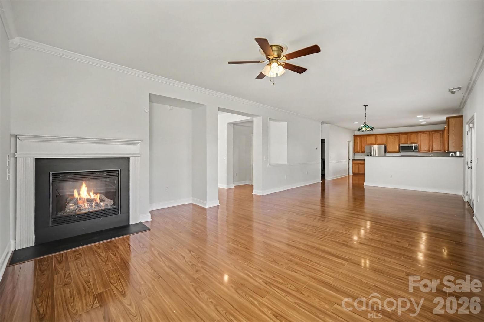 10033 Markus Drive, Mint Hill, NC 28227 - Photo 2
