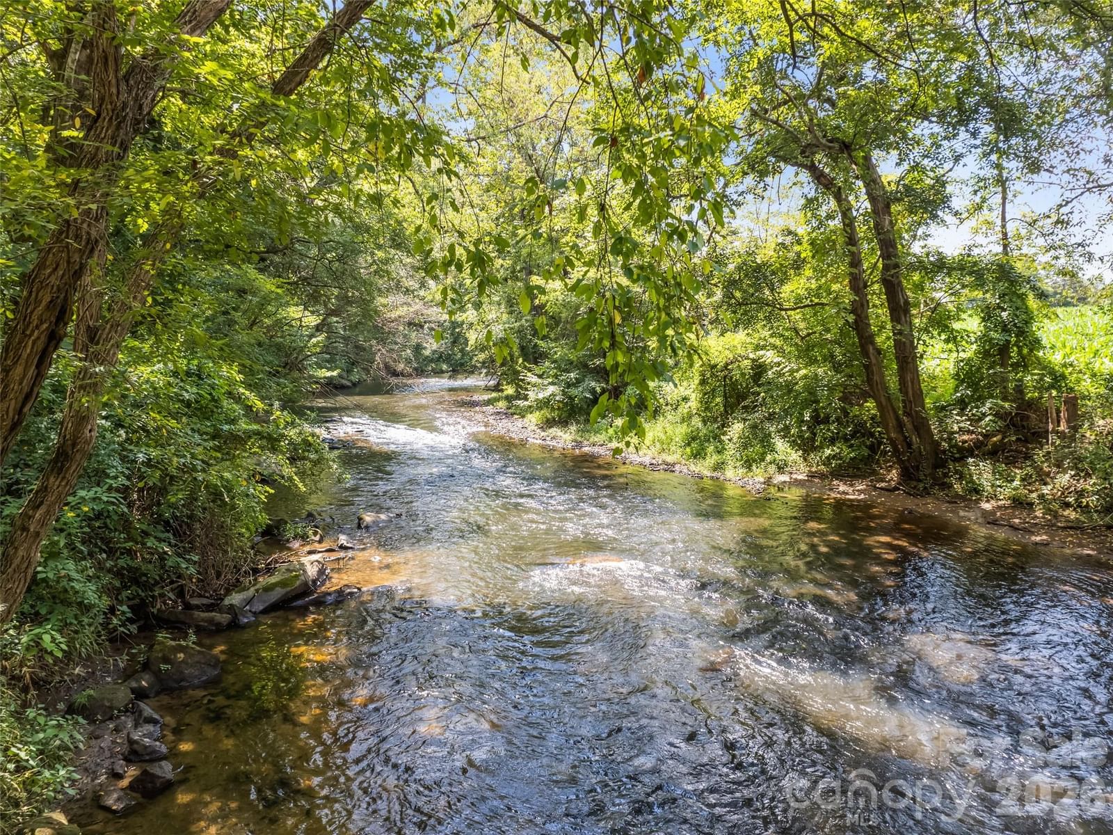 404 Loop Road, Clyde, NC 28721 - Photo 2