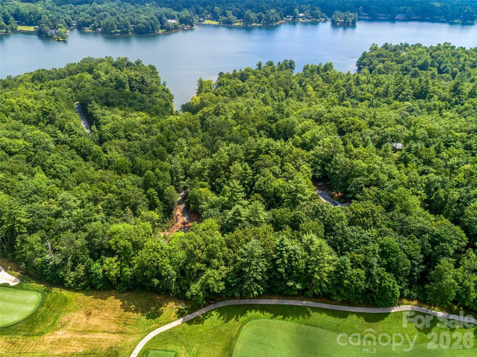 TBD Seminole Way, Lake Toxaway, NC 28747 - Photo 5
