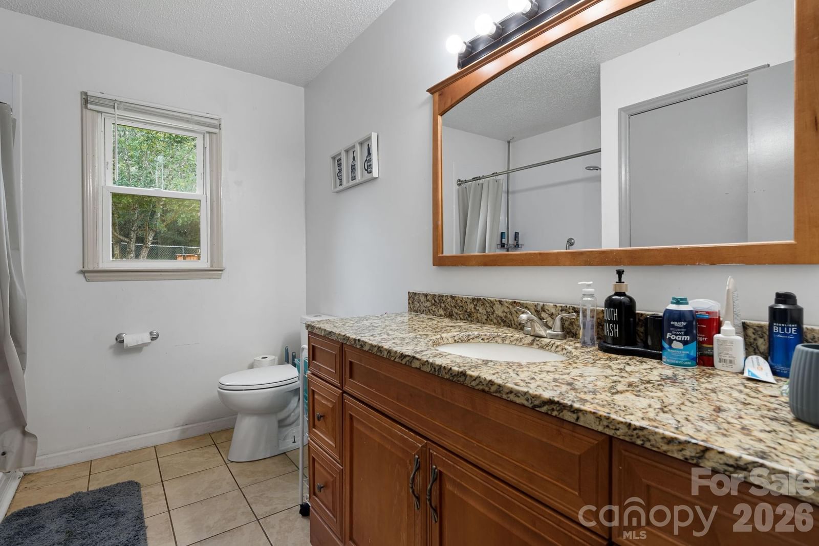 150 Hillbrook Drive, Bostic, NC 28018 - Photo 4
